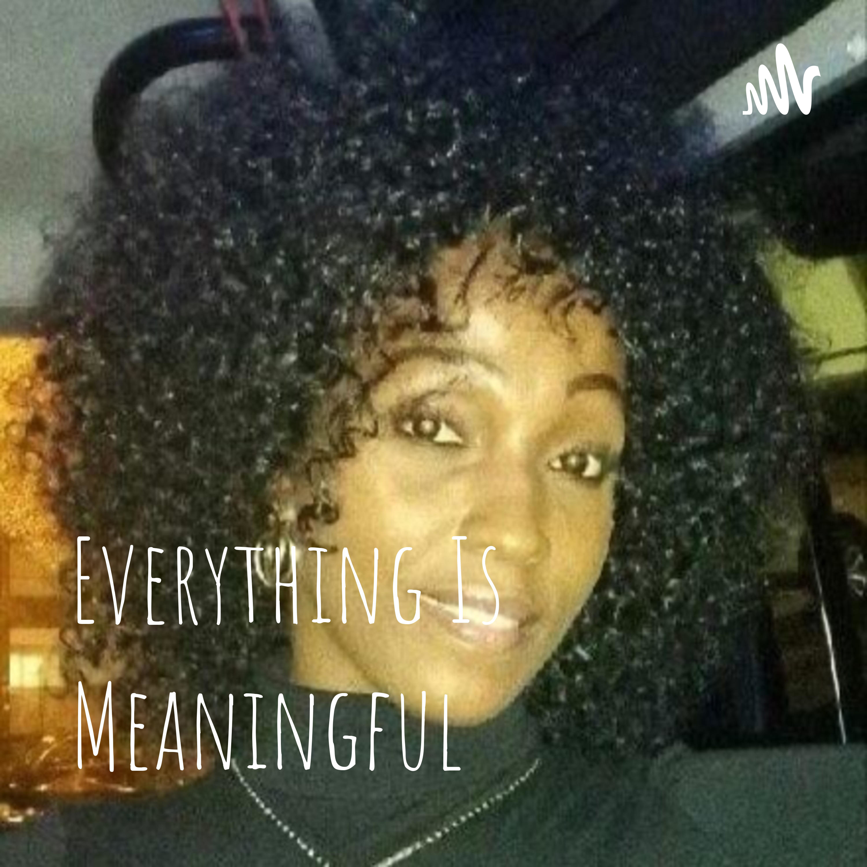 Everything Is Meaningful podcast artwork