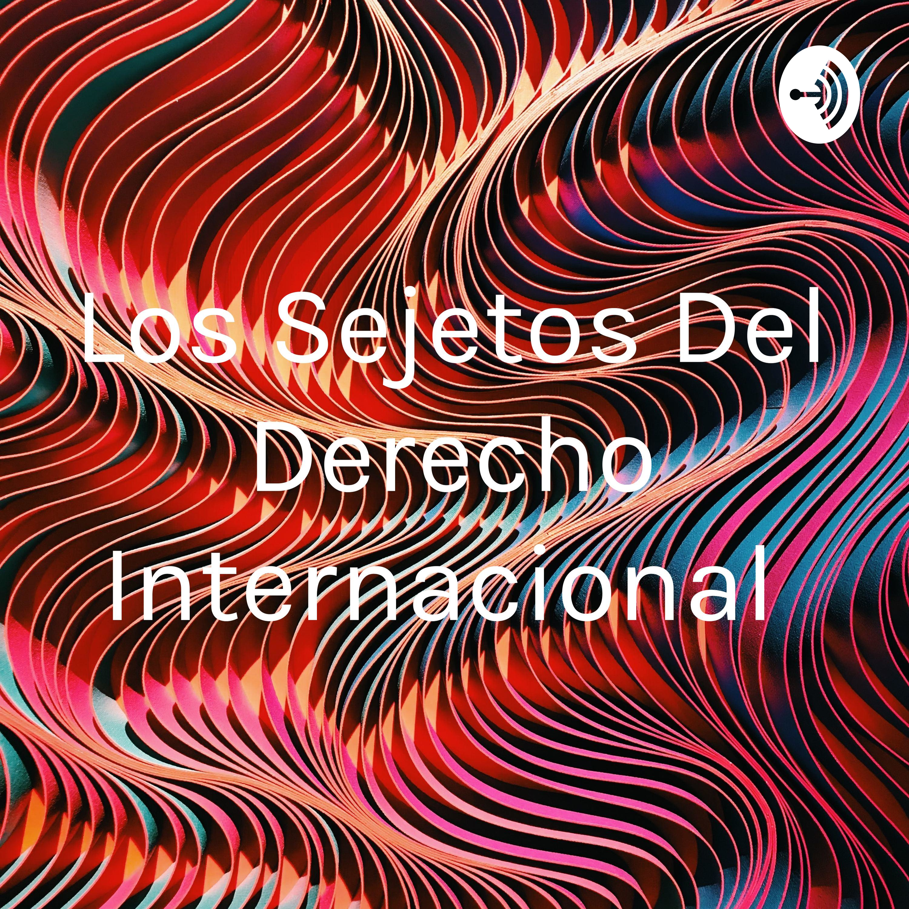 Los Sejetos Del Derecho Internacional 