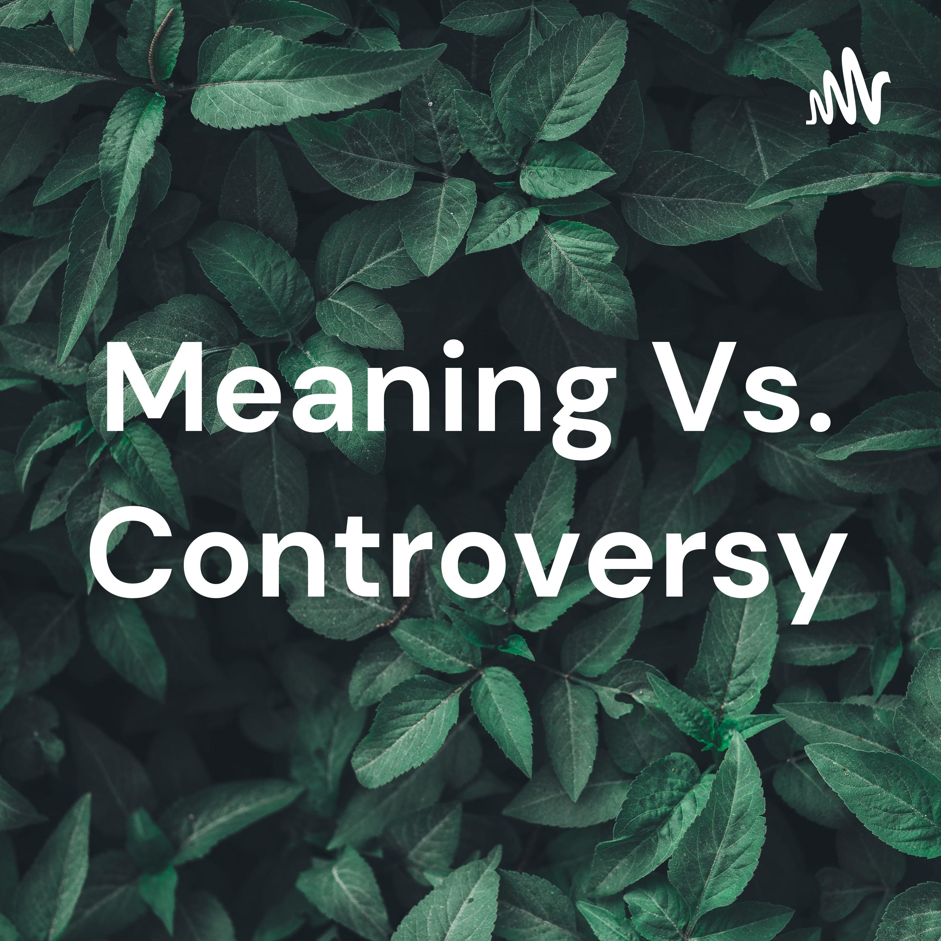 Meaning Vs. Controversy