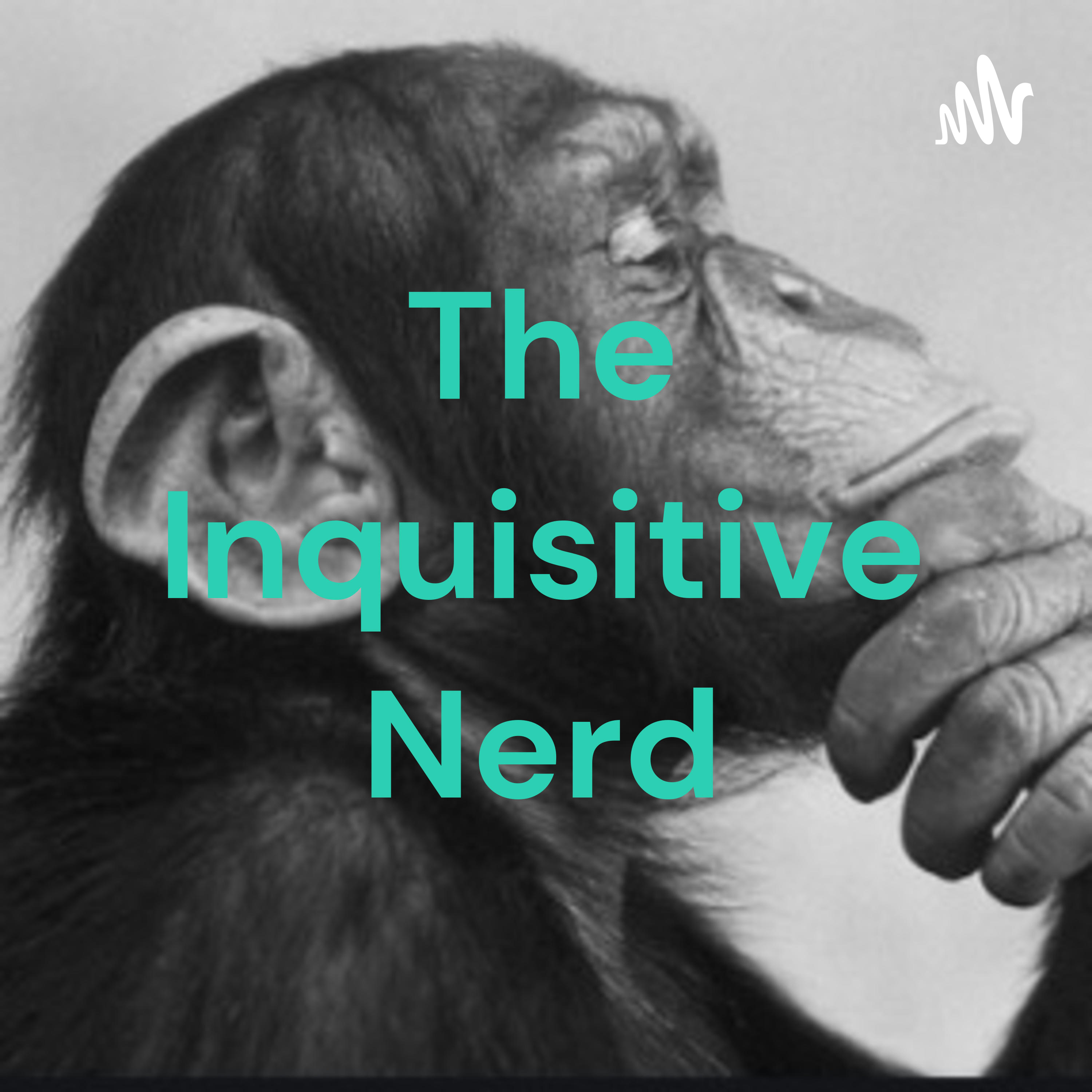 The Inquisitive Nerd