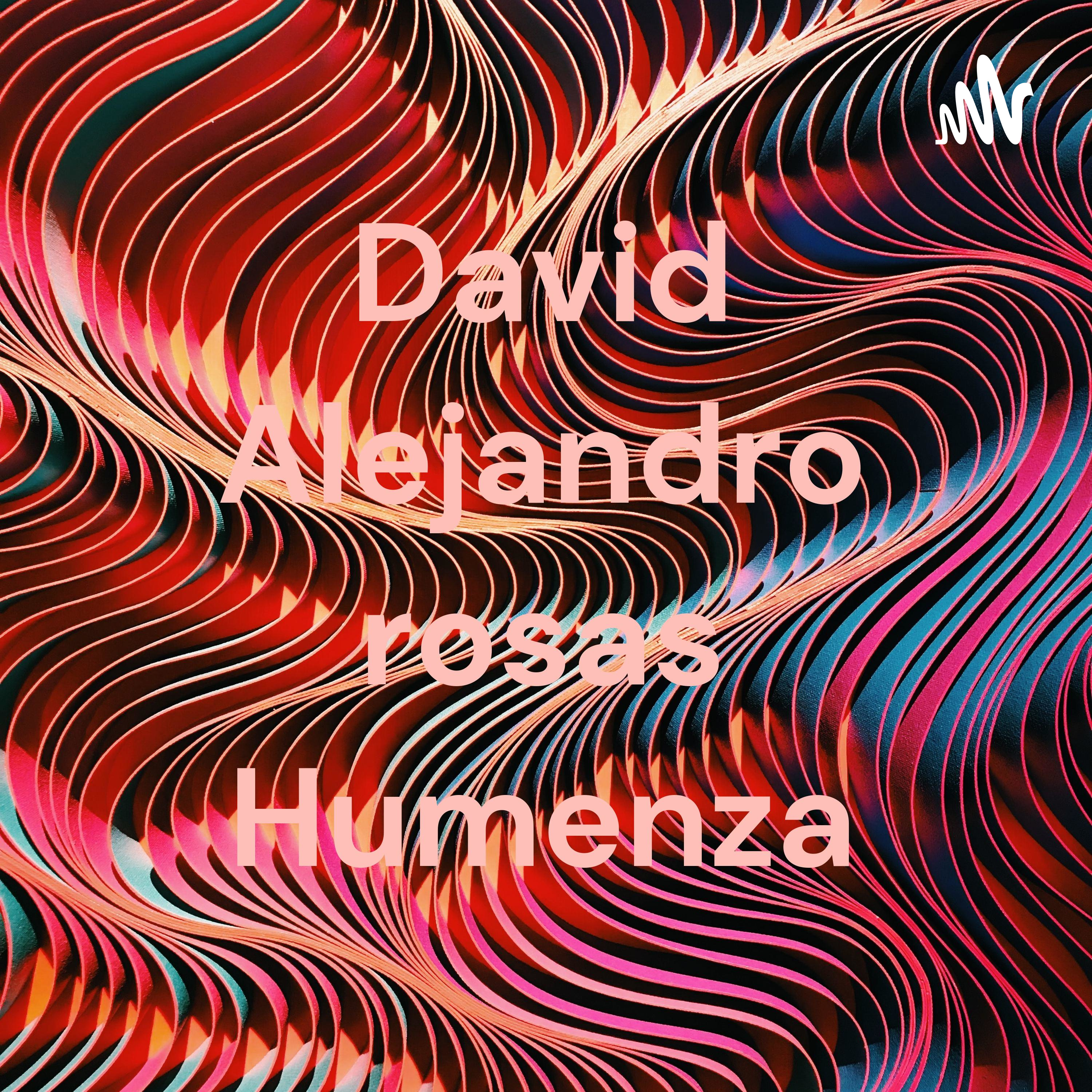 David Alejandro rosas Humenza