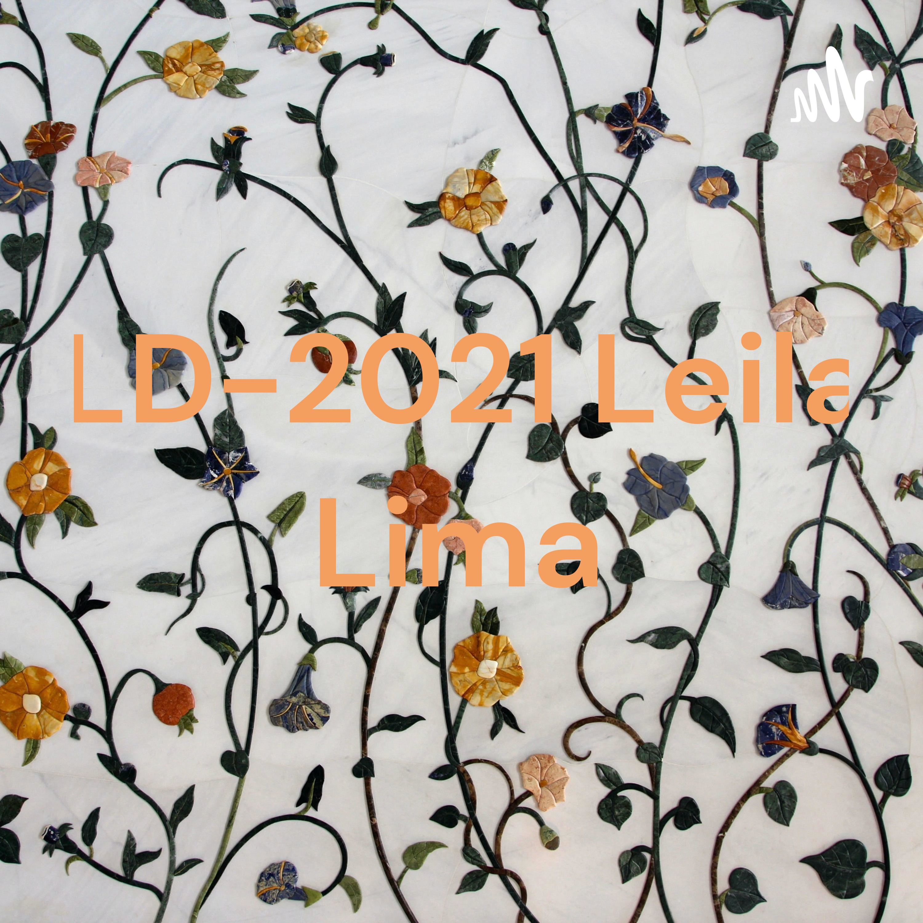 A reforma do novo Ensino médio-2021/2022 episode artwork