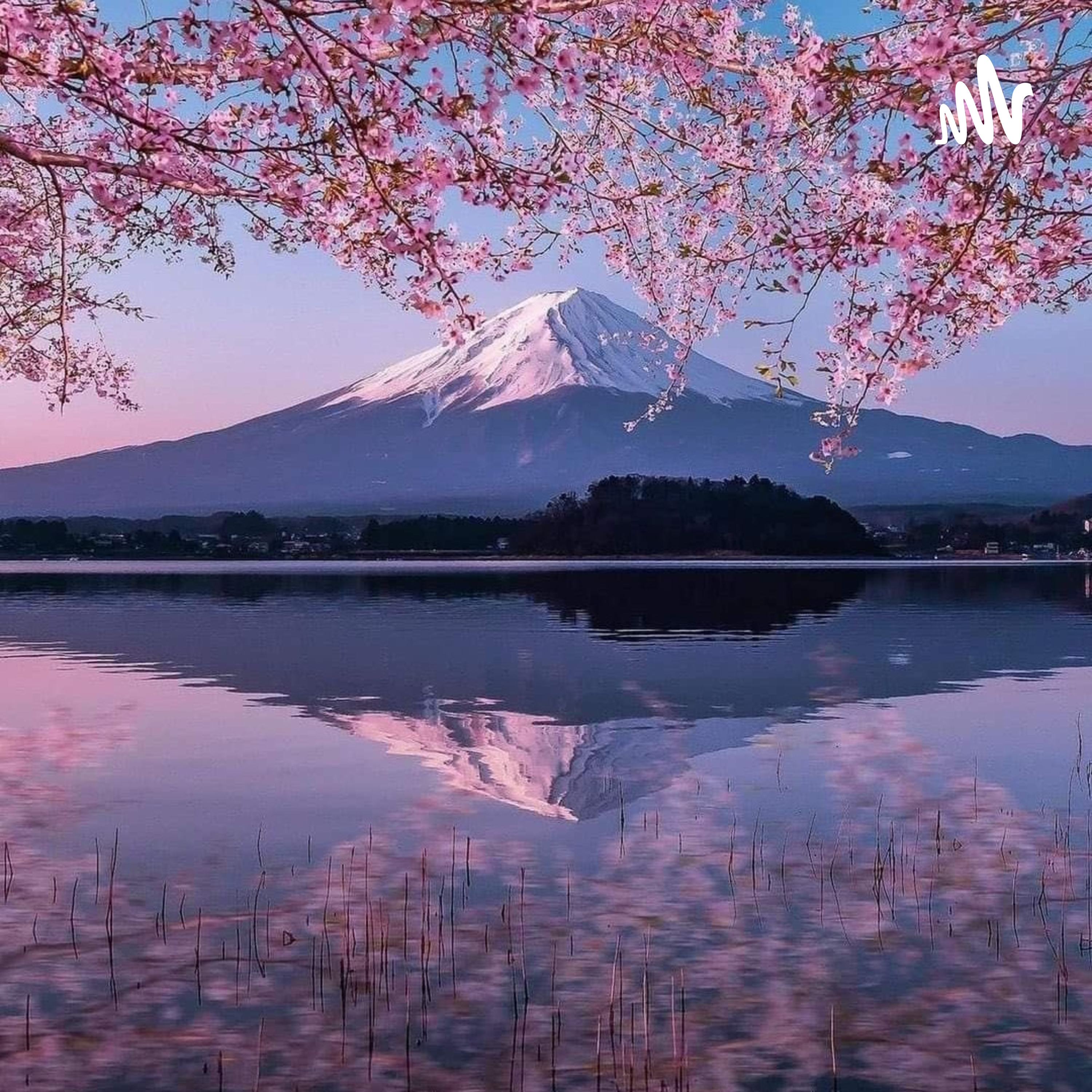 What’s New With Angelo?