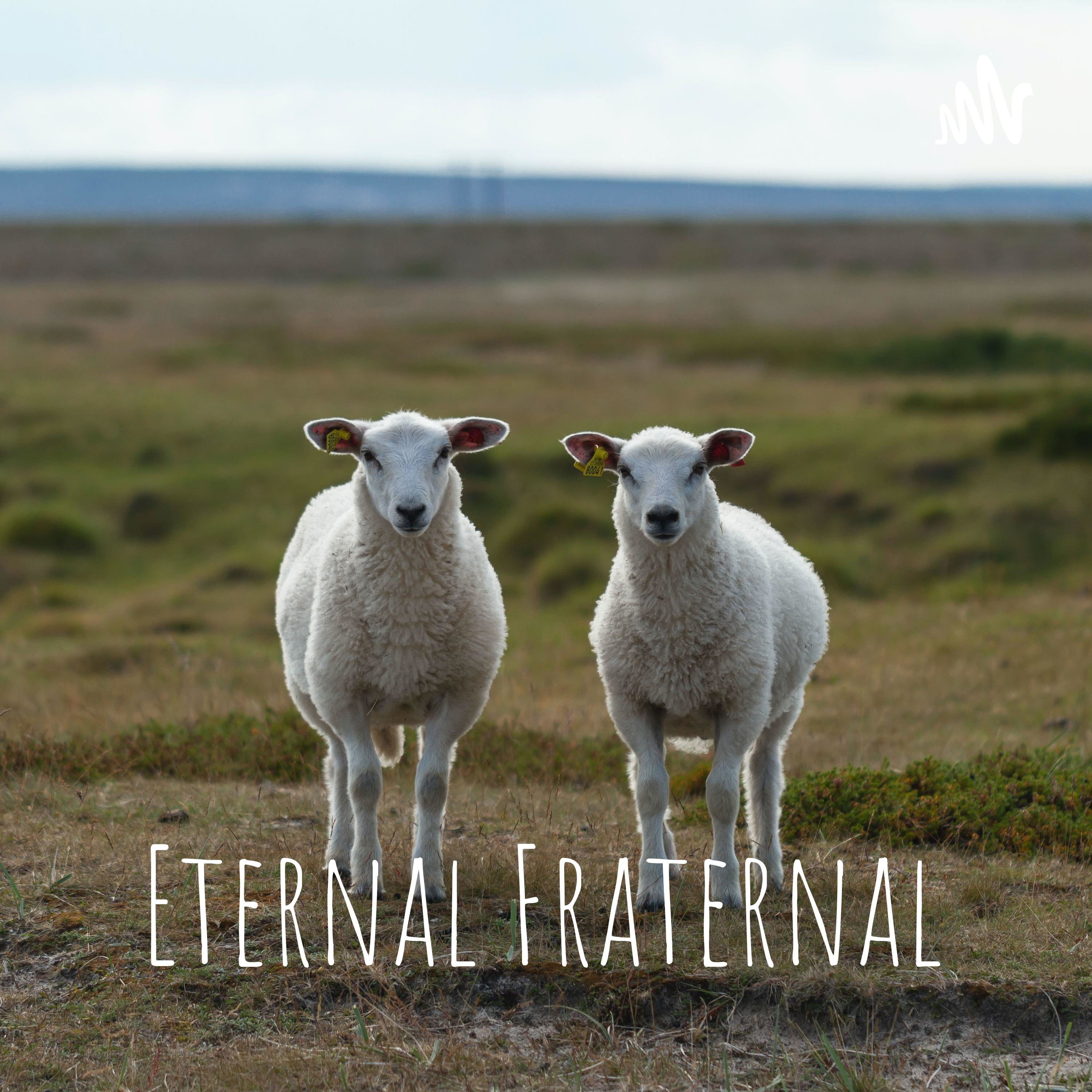 Eternal Fraternal