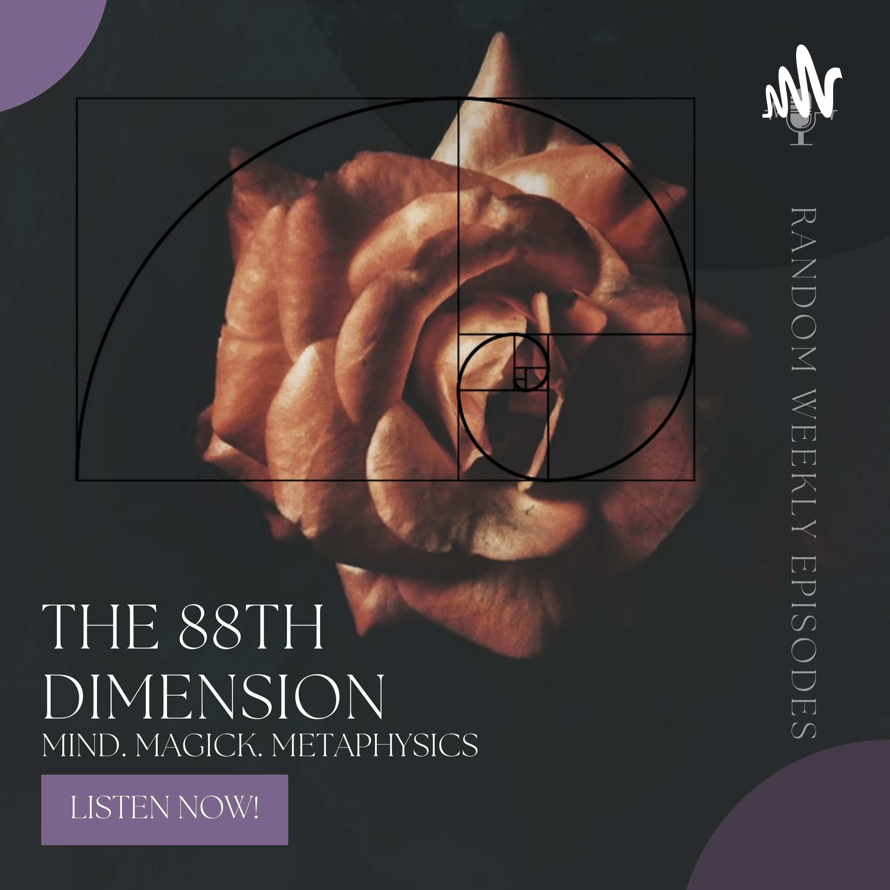 The 88th Dimension