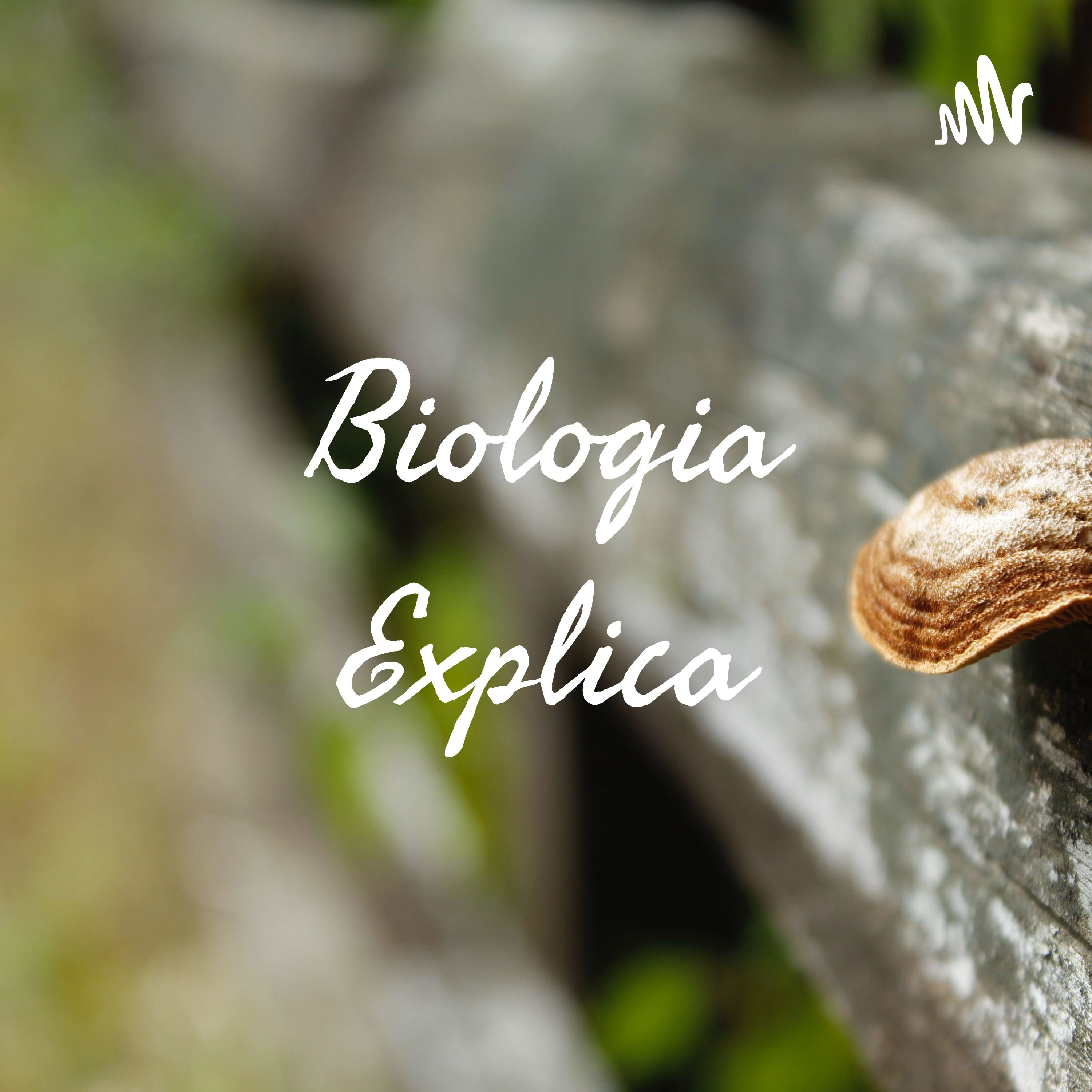 Biologia Explica