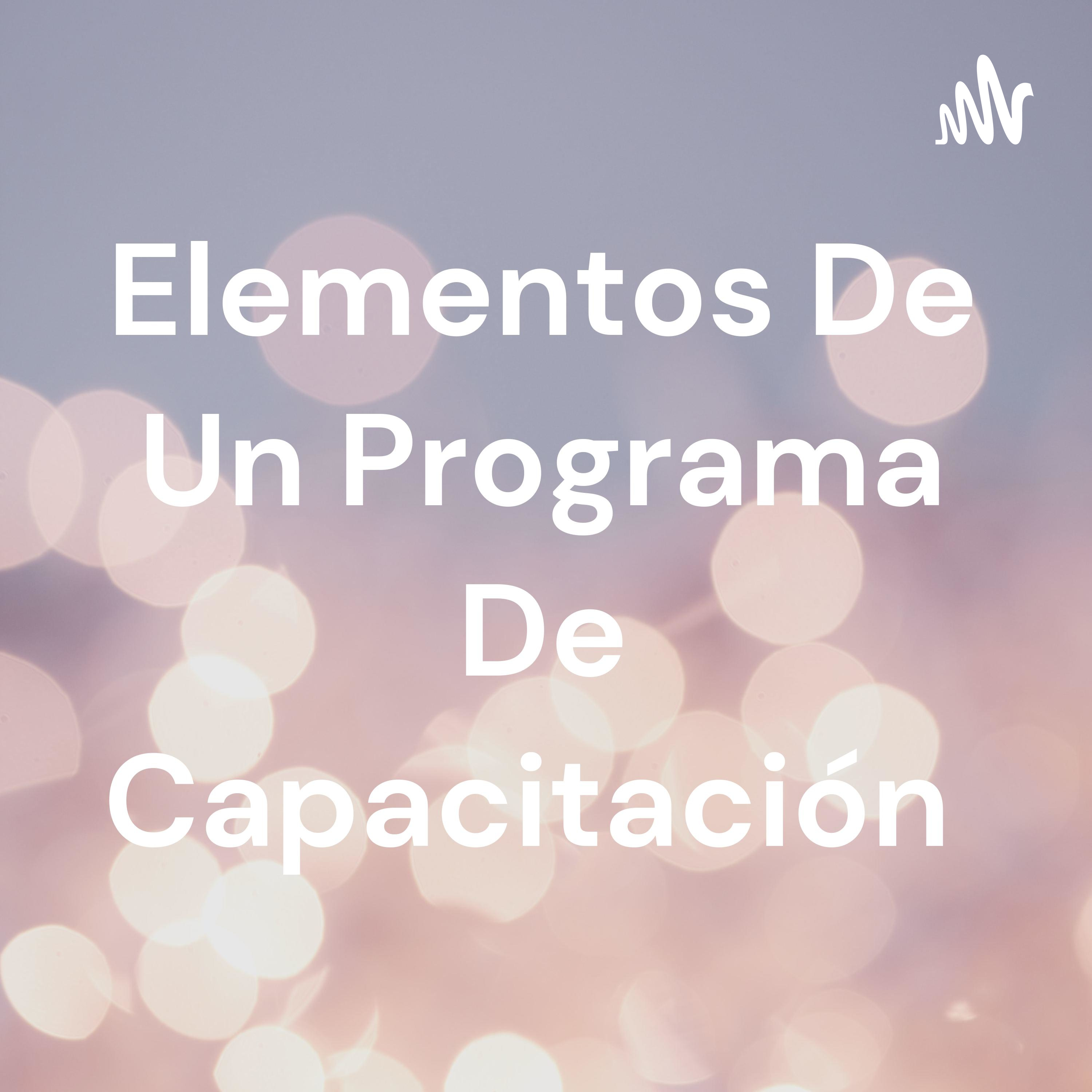 Elementos De Un Programa De Capacitación