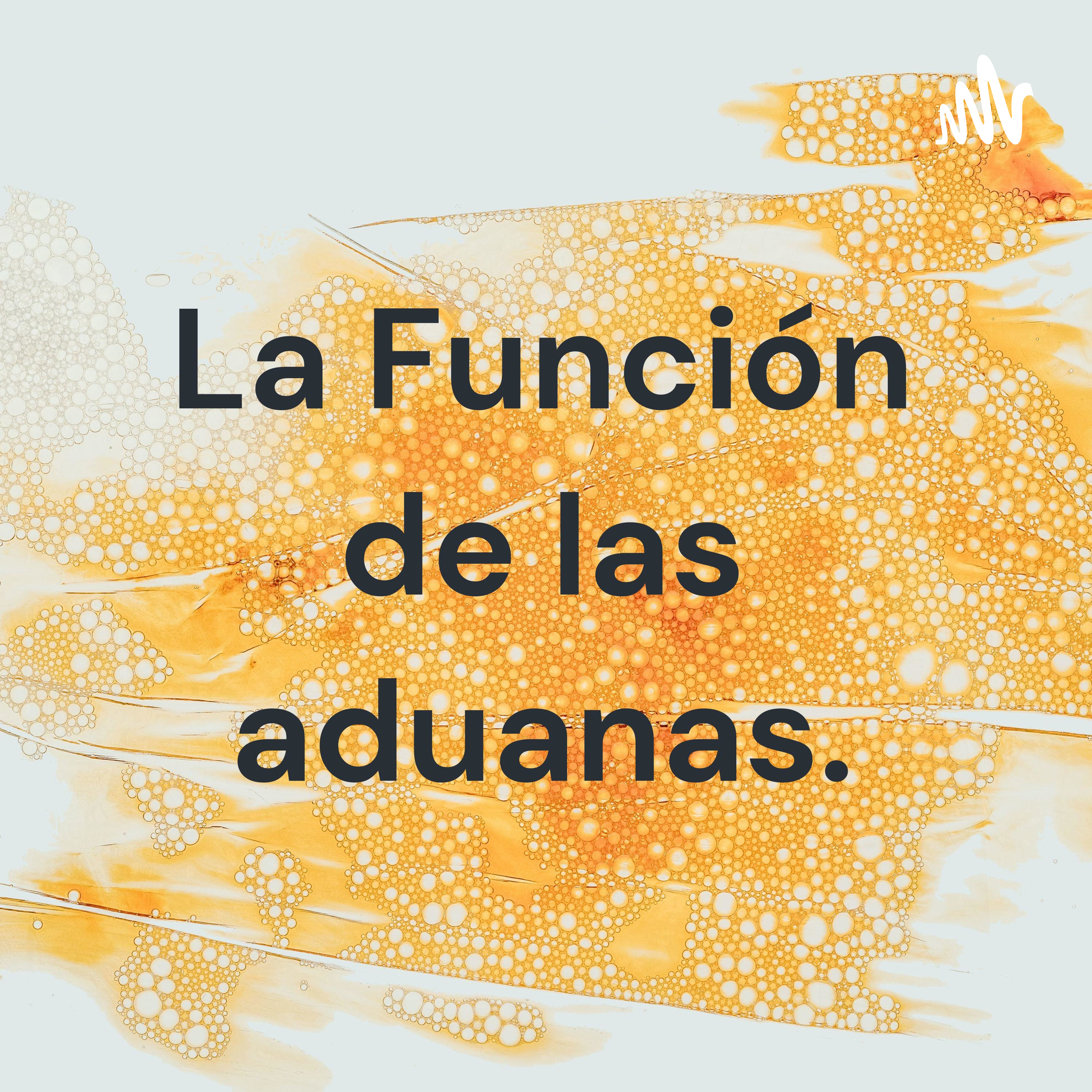La Función de las aduanas.