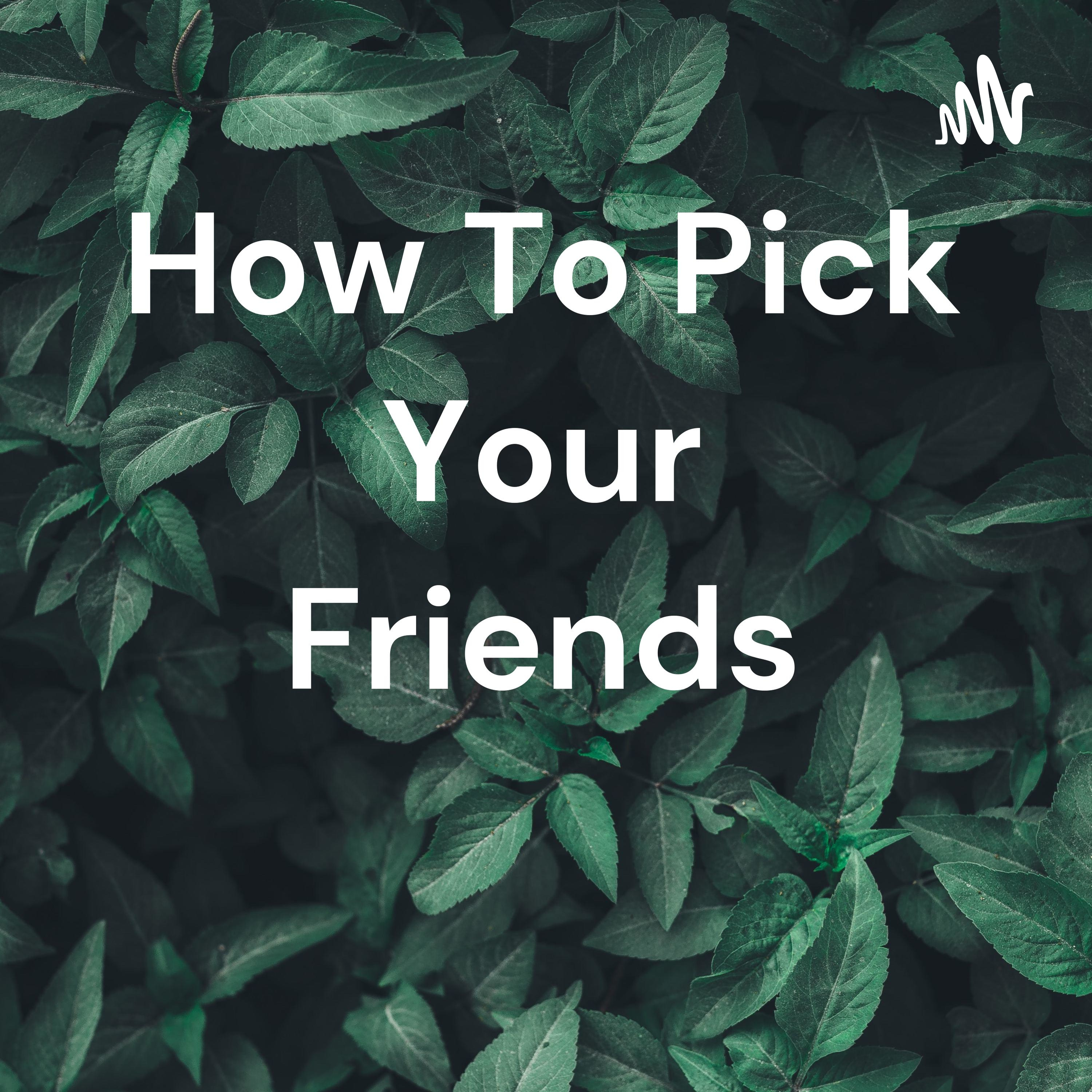 How To Pick Your Friends 
