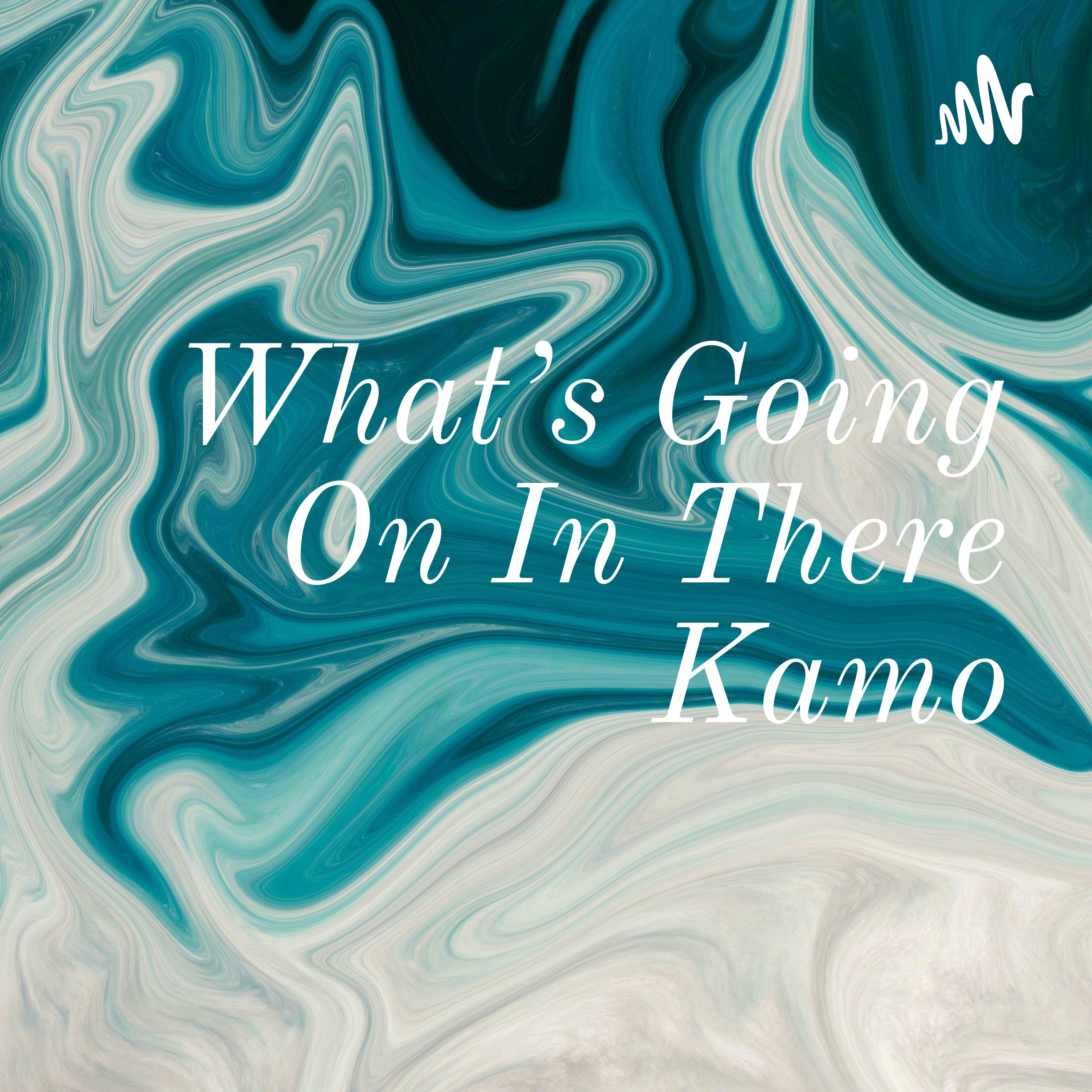 What's Going On In There Kamo What's Going On In There Kamo podcast