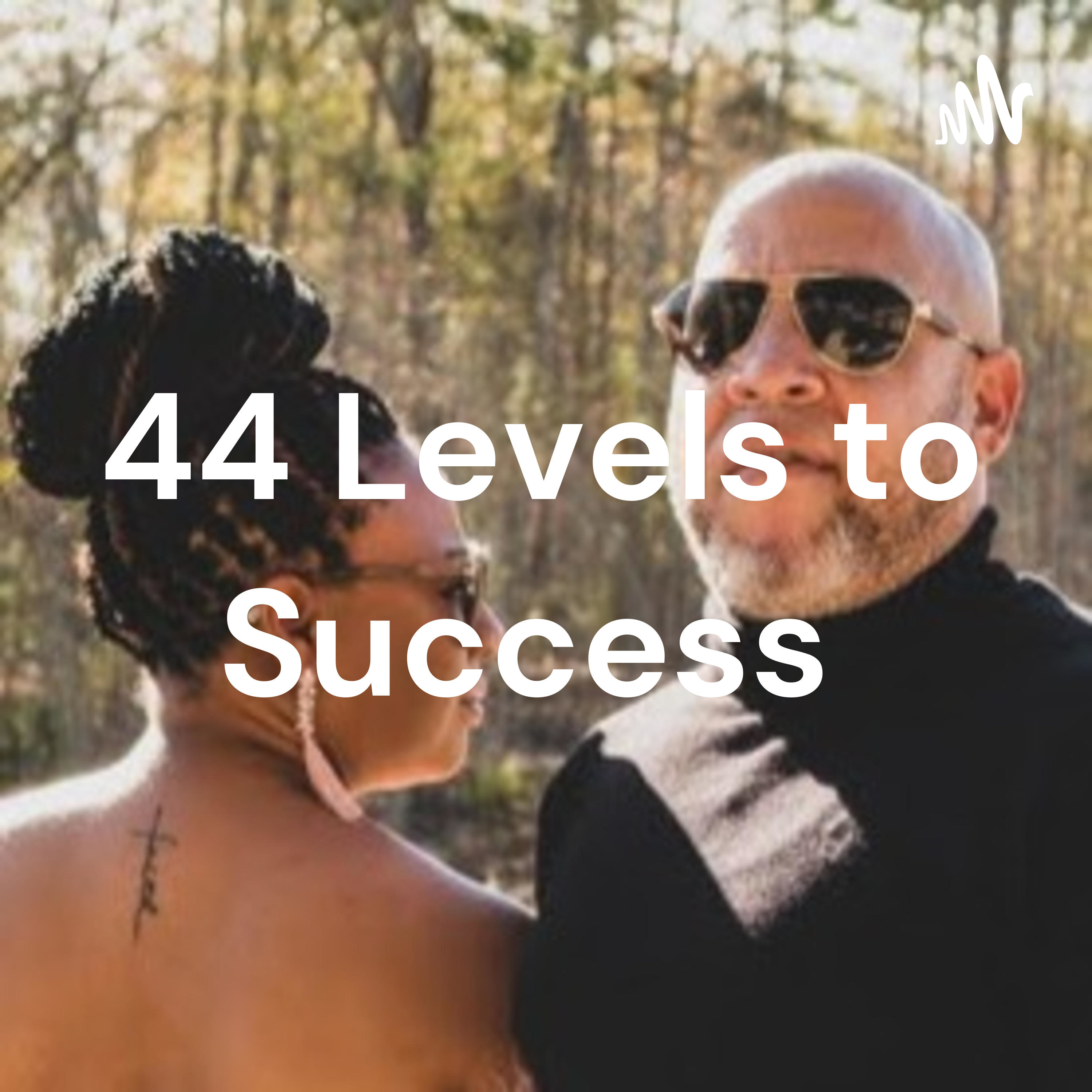 Motivational Minutes 44 Levels to Success