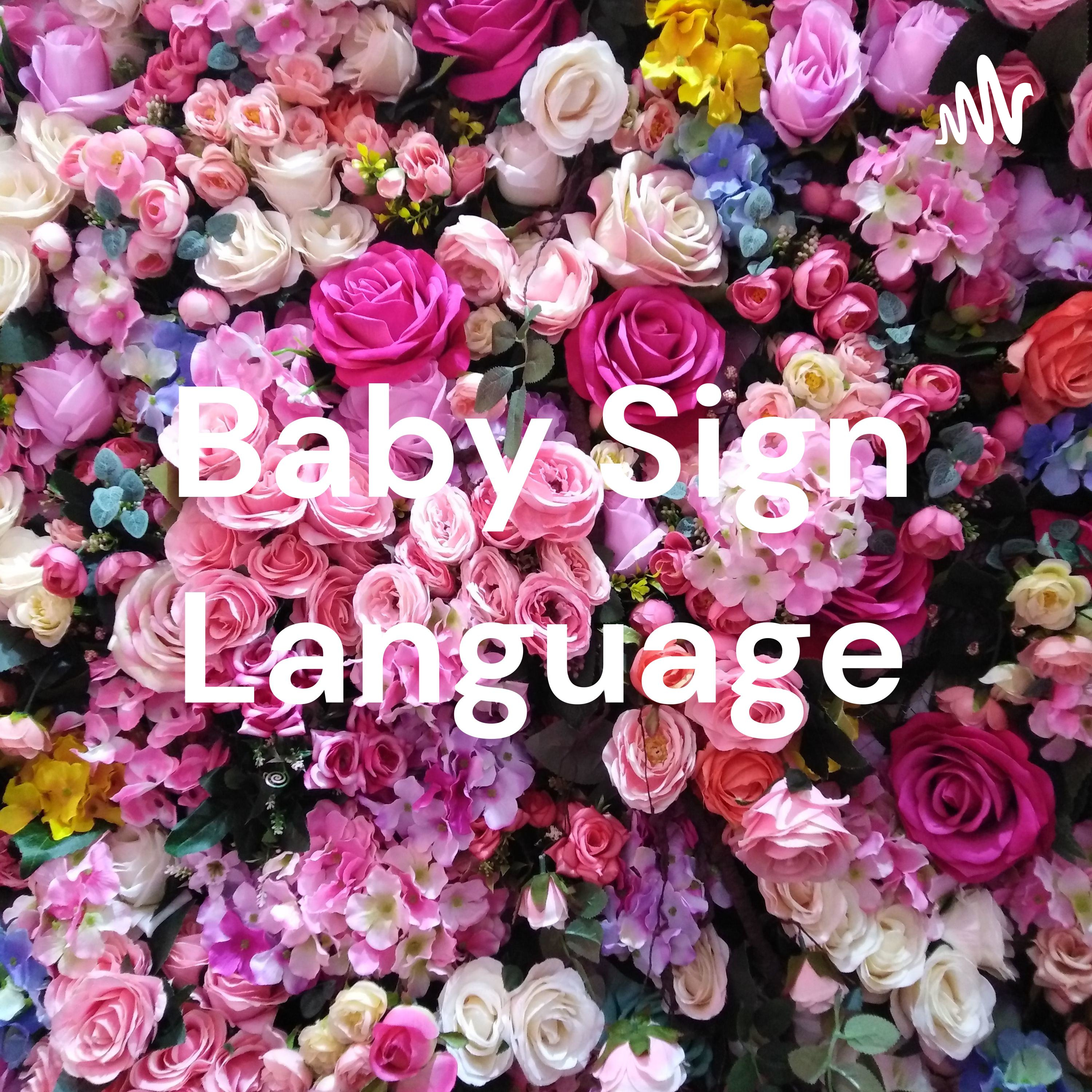 Baby Sign Language