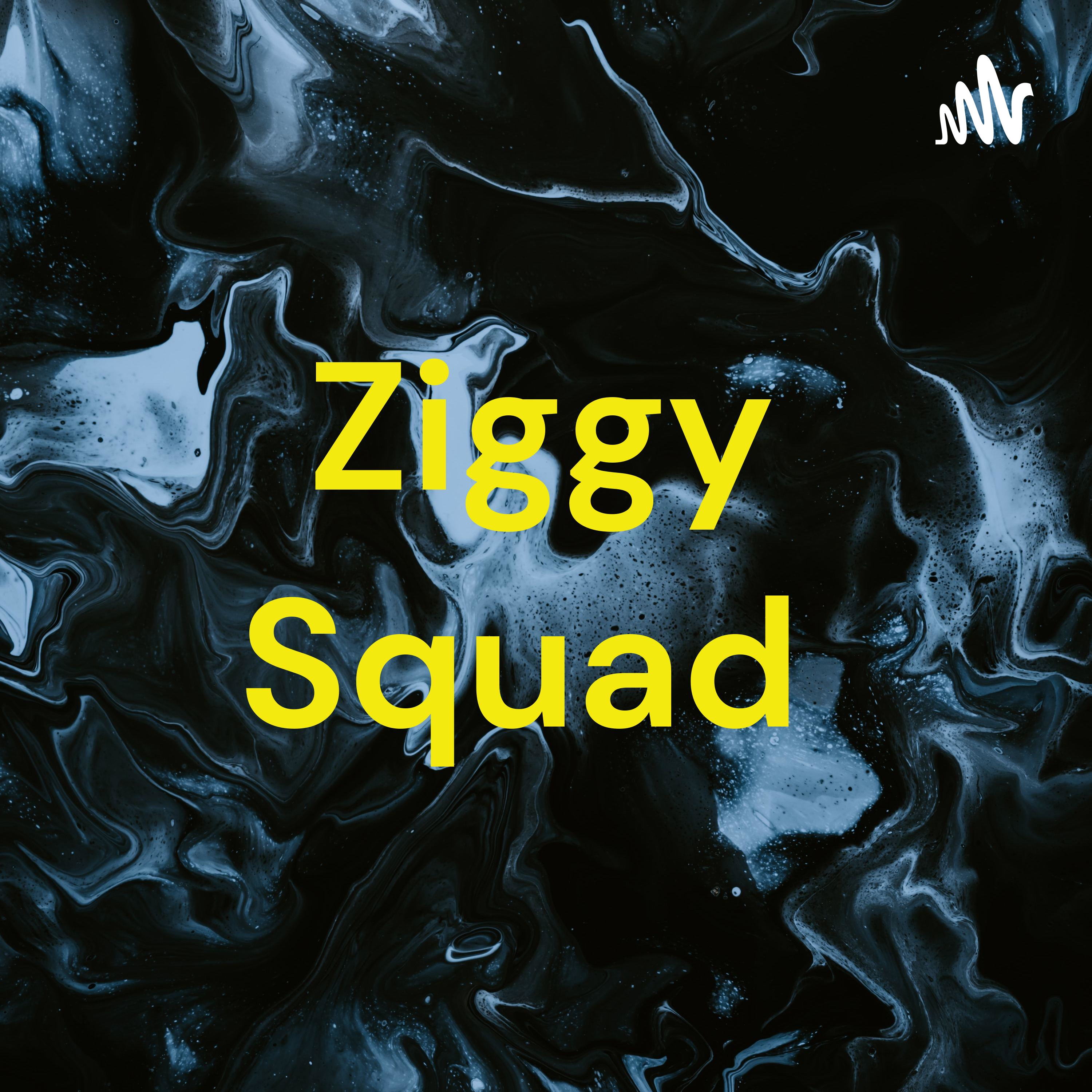 Ziggy Squad