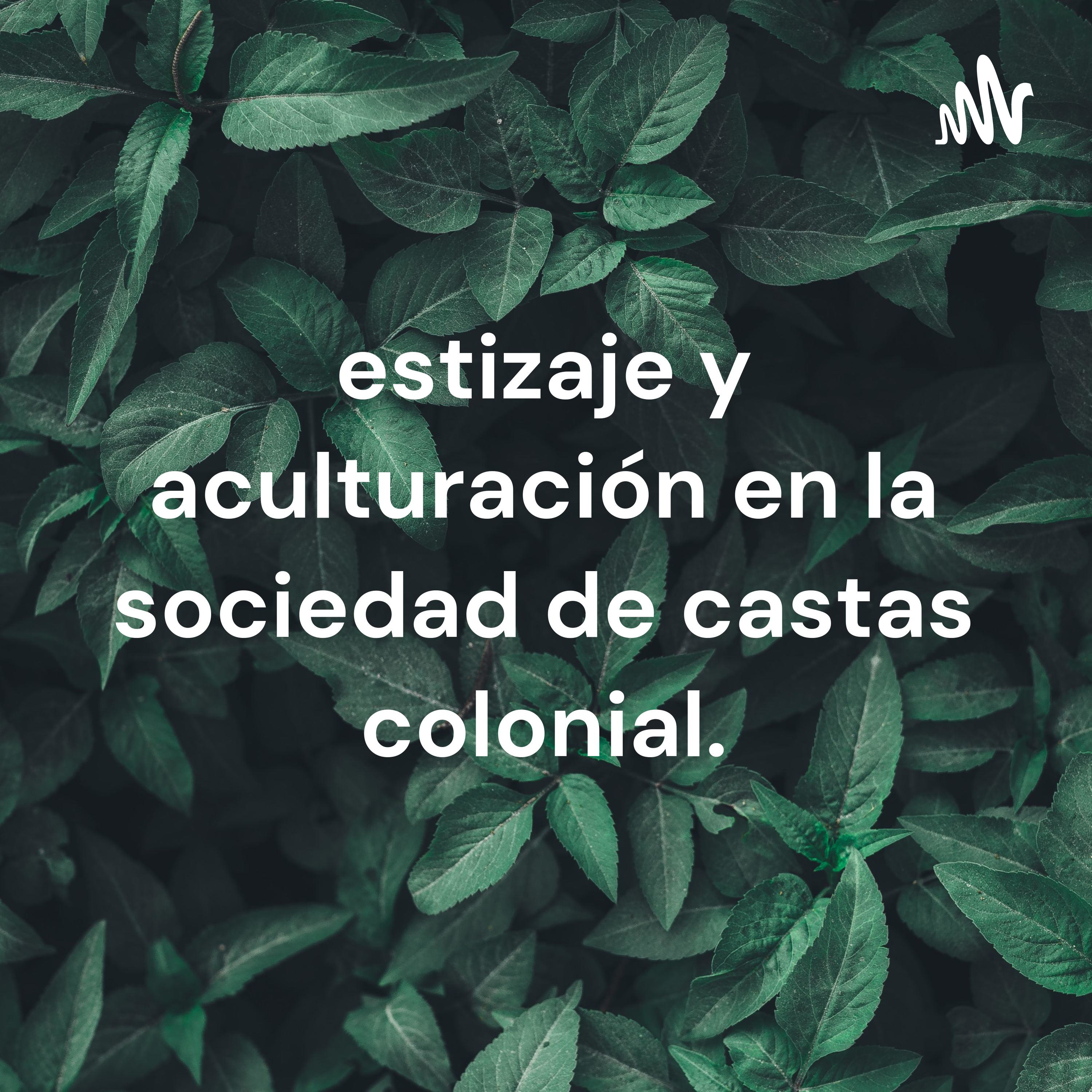 estizaje y aculturación en la sociedad de castas colonial.