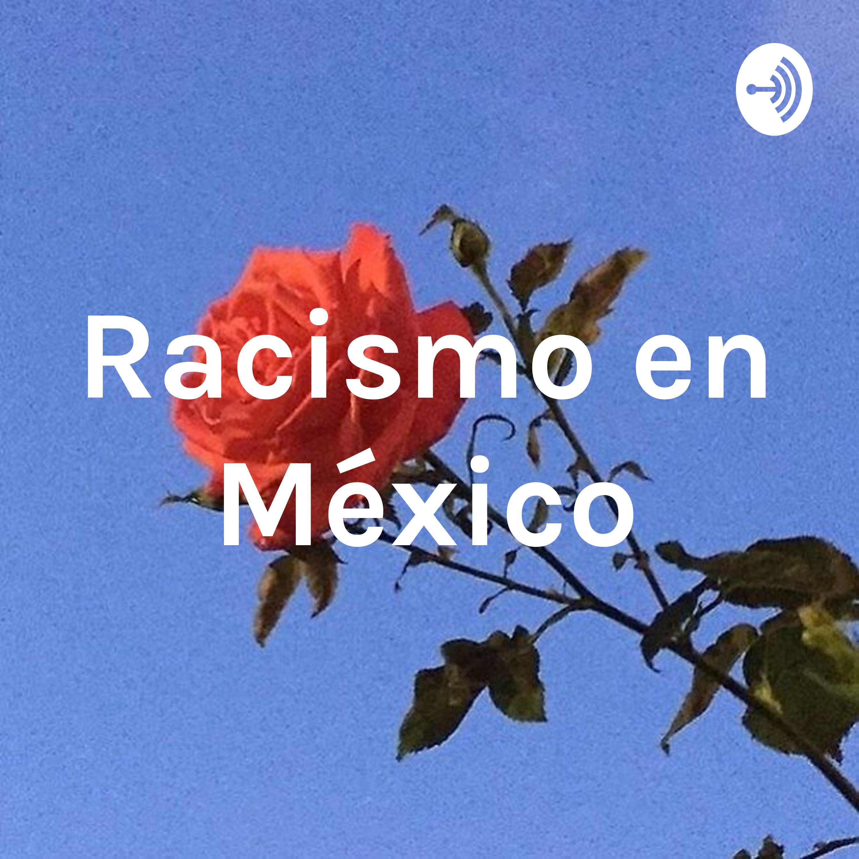 Racismo en México