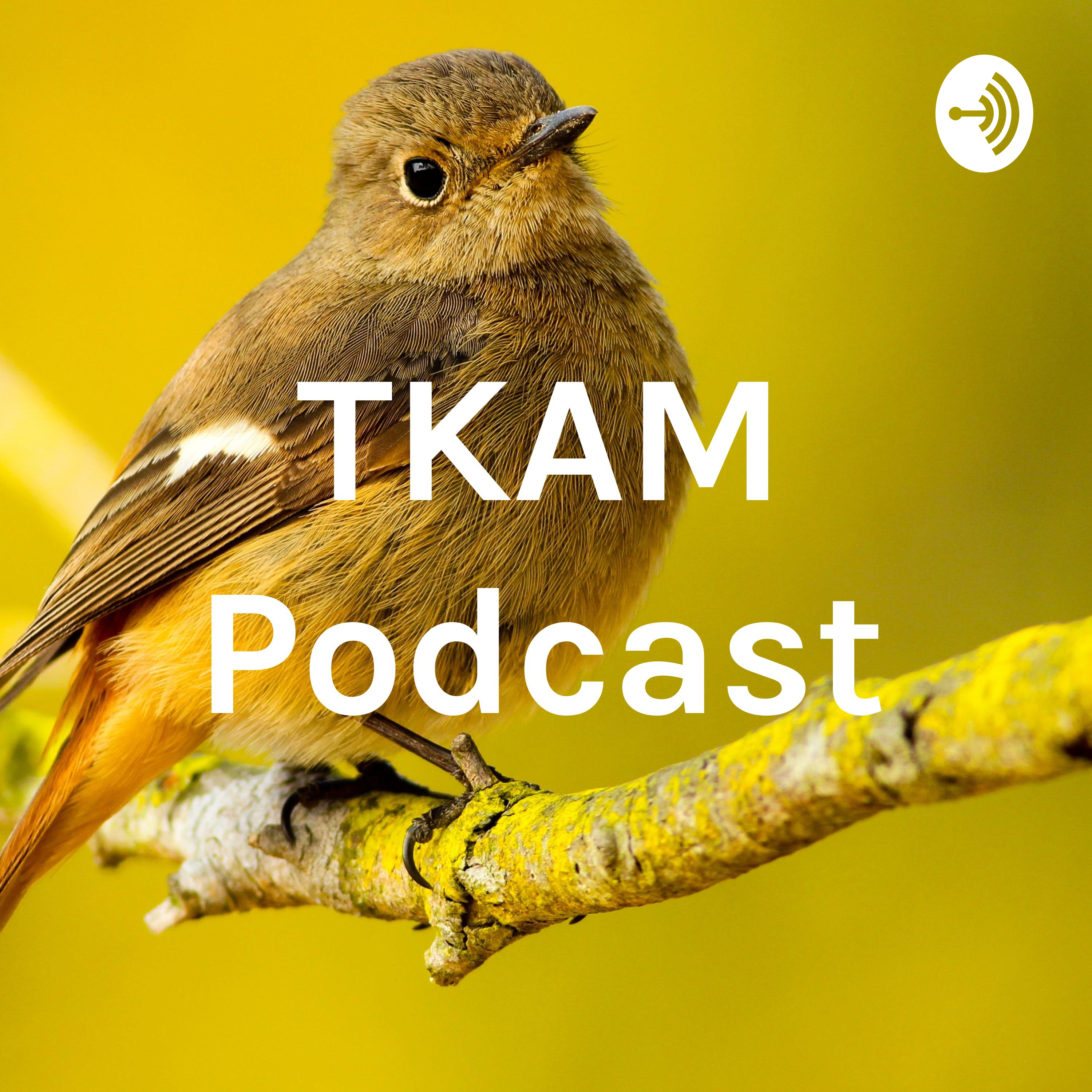 TKAM Podcast
