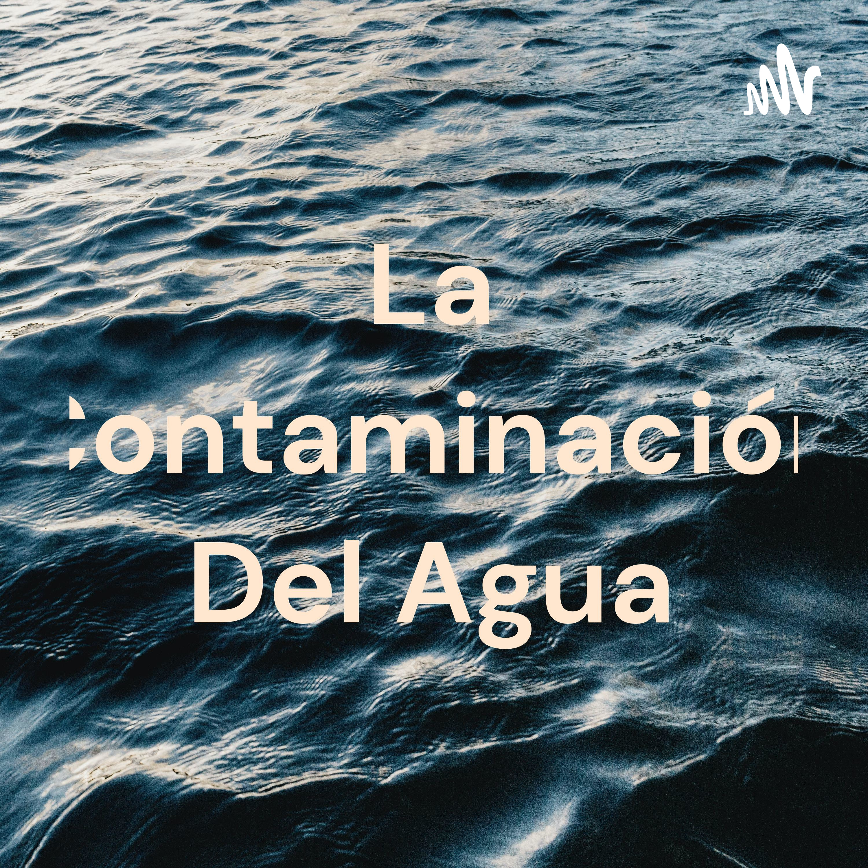 La Contaminación Del Agua