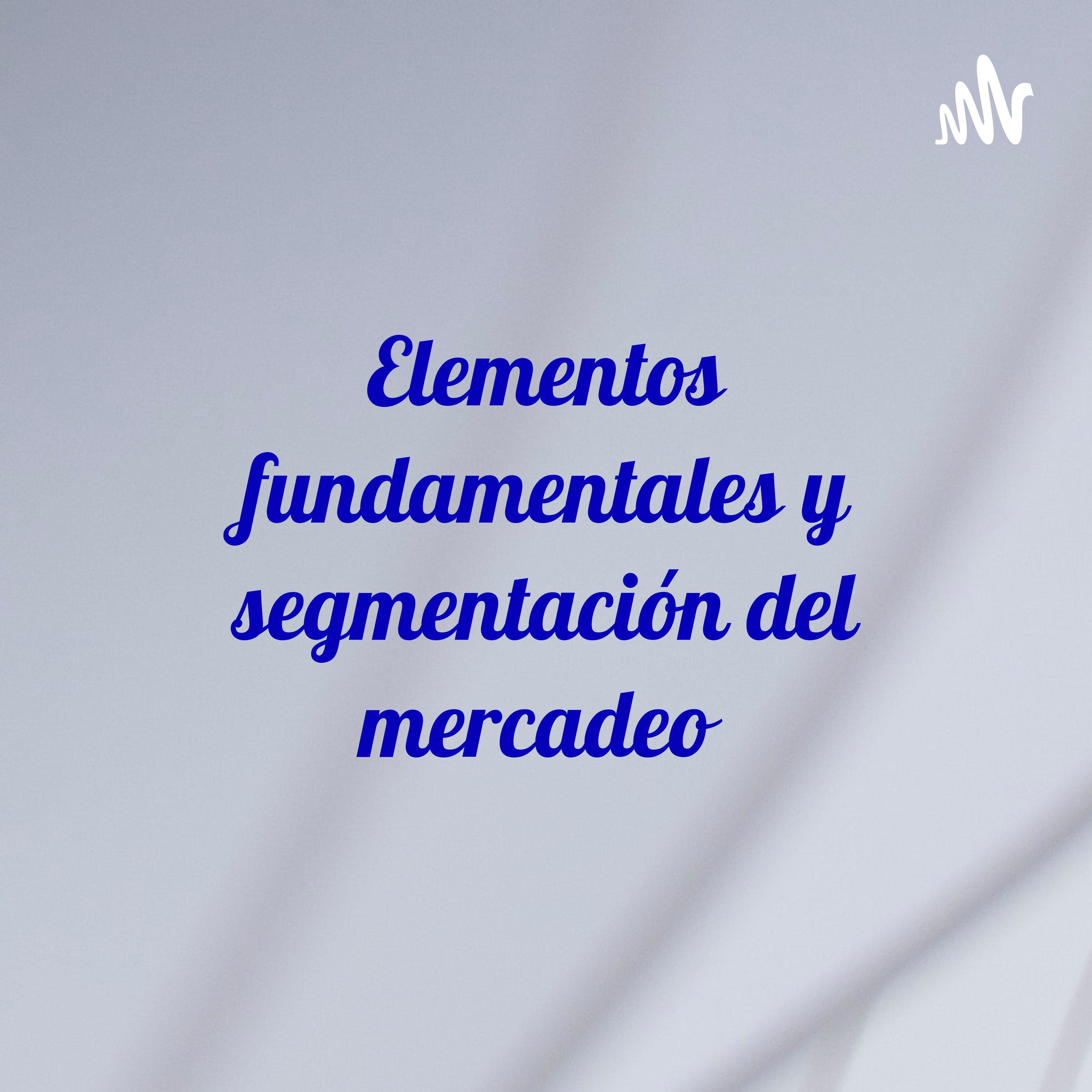Elementos fundamentales y segmentación del mercadeo 