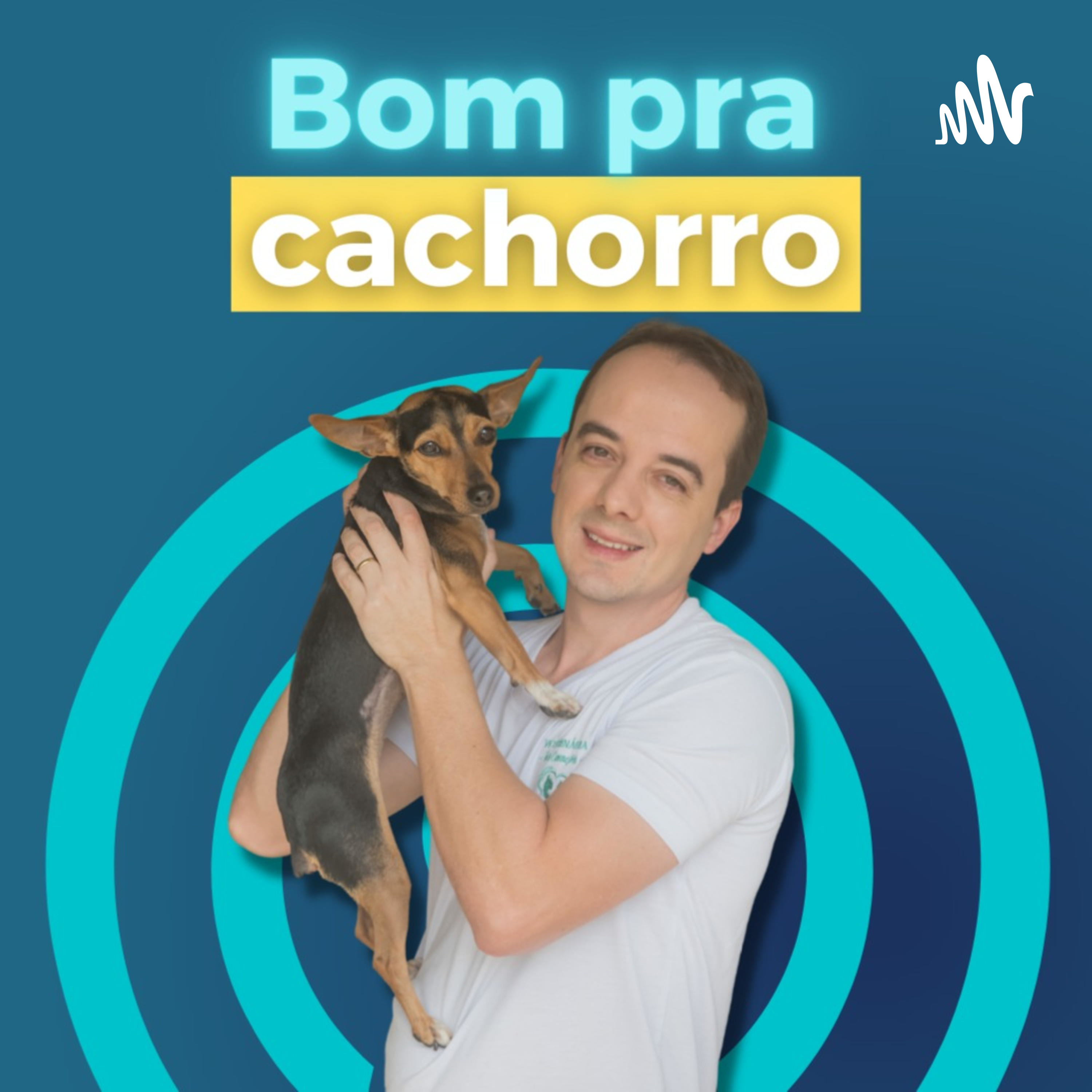 Bom pra cachorro podcast artwork