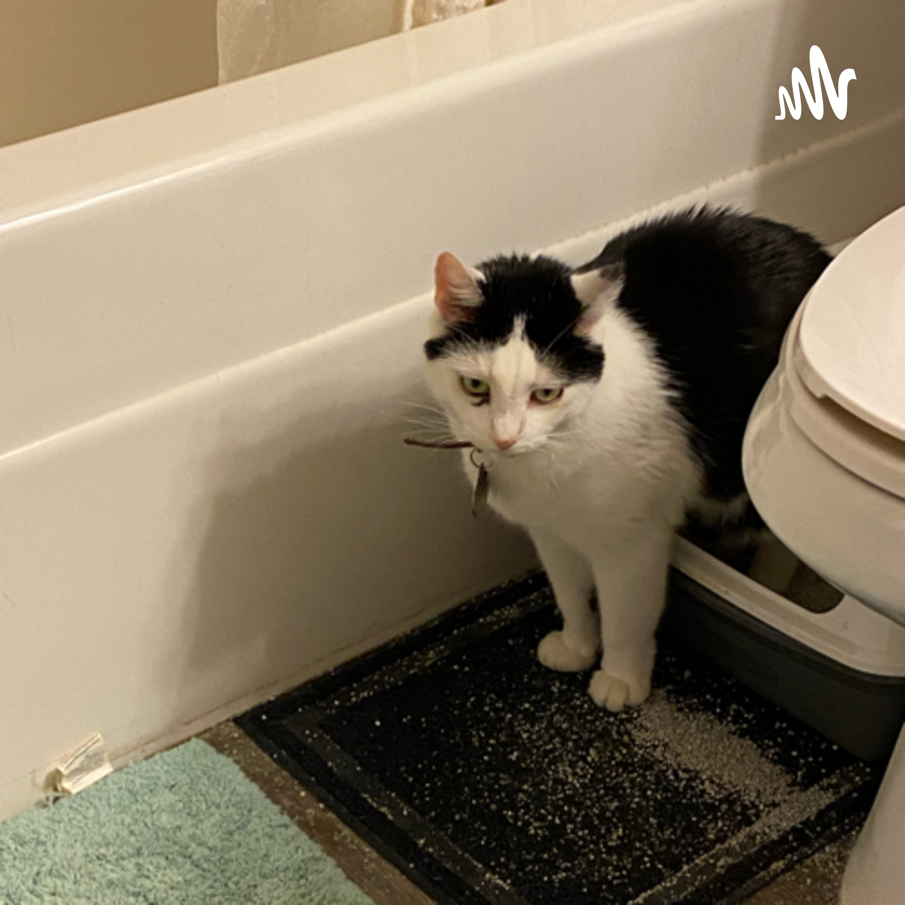 Ether Rambles podcast artwork