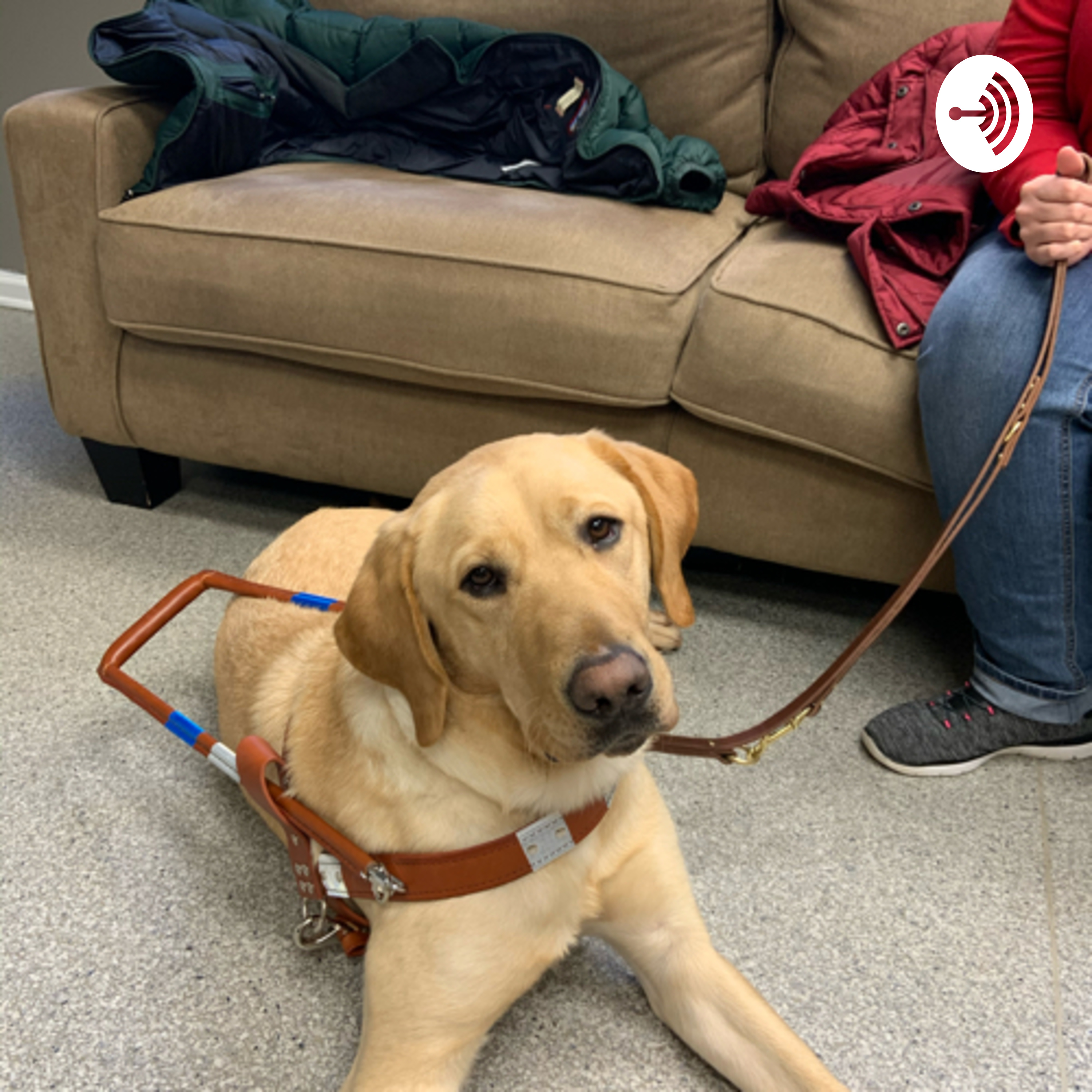 Family and guide dog ramblings
