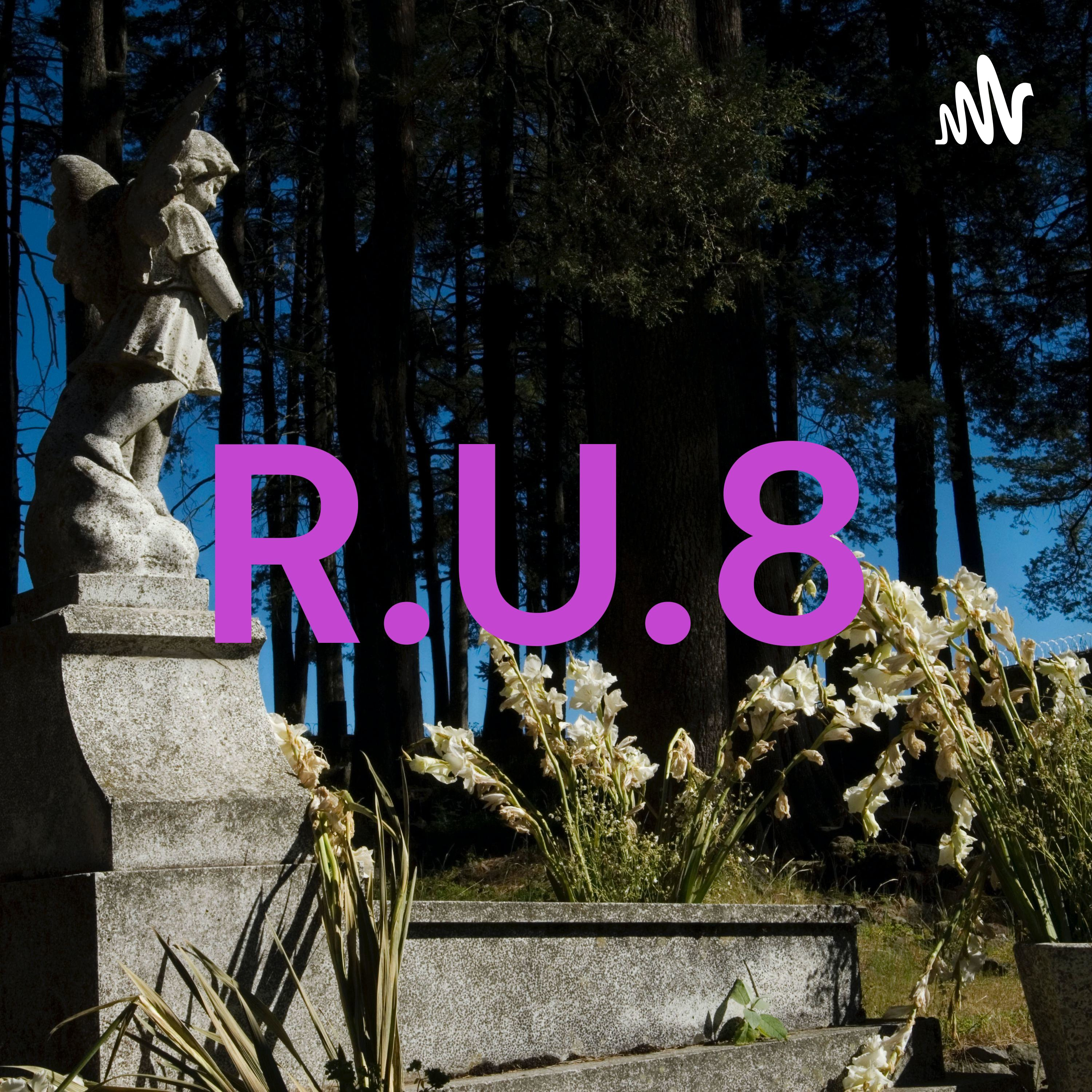 R.U.8 artwork