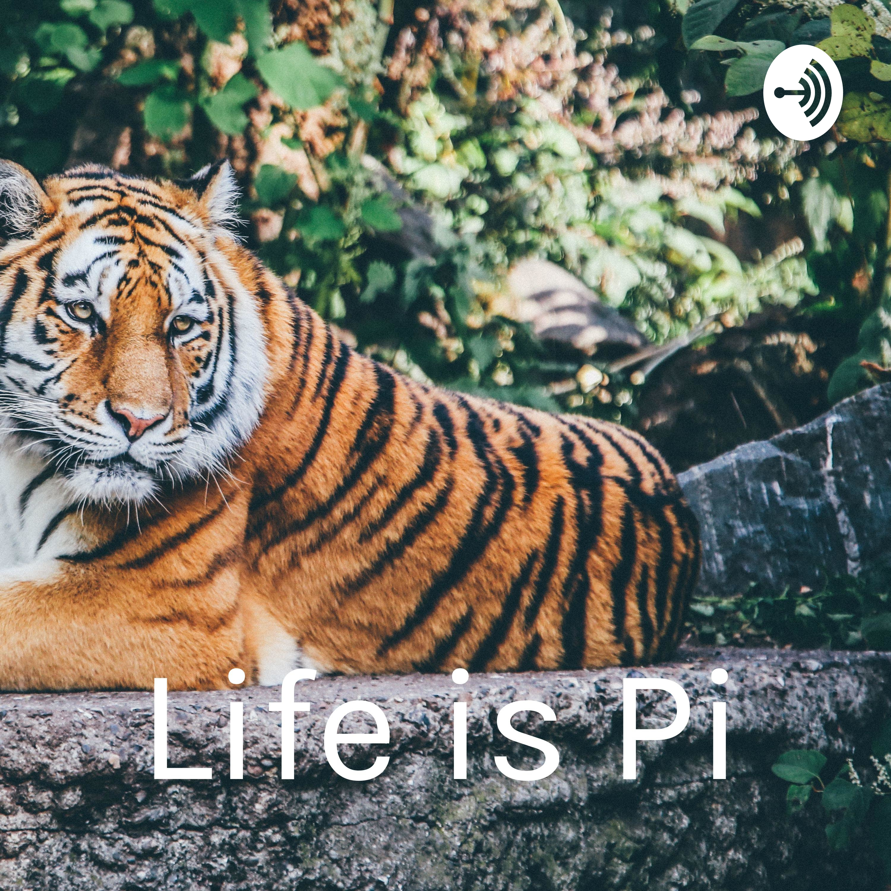 Life is Pi