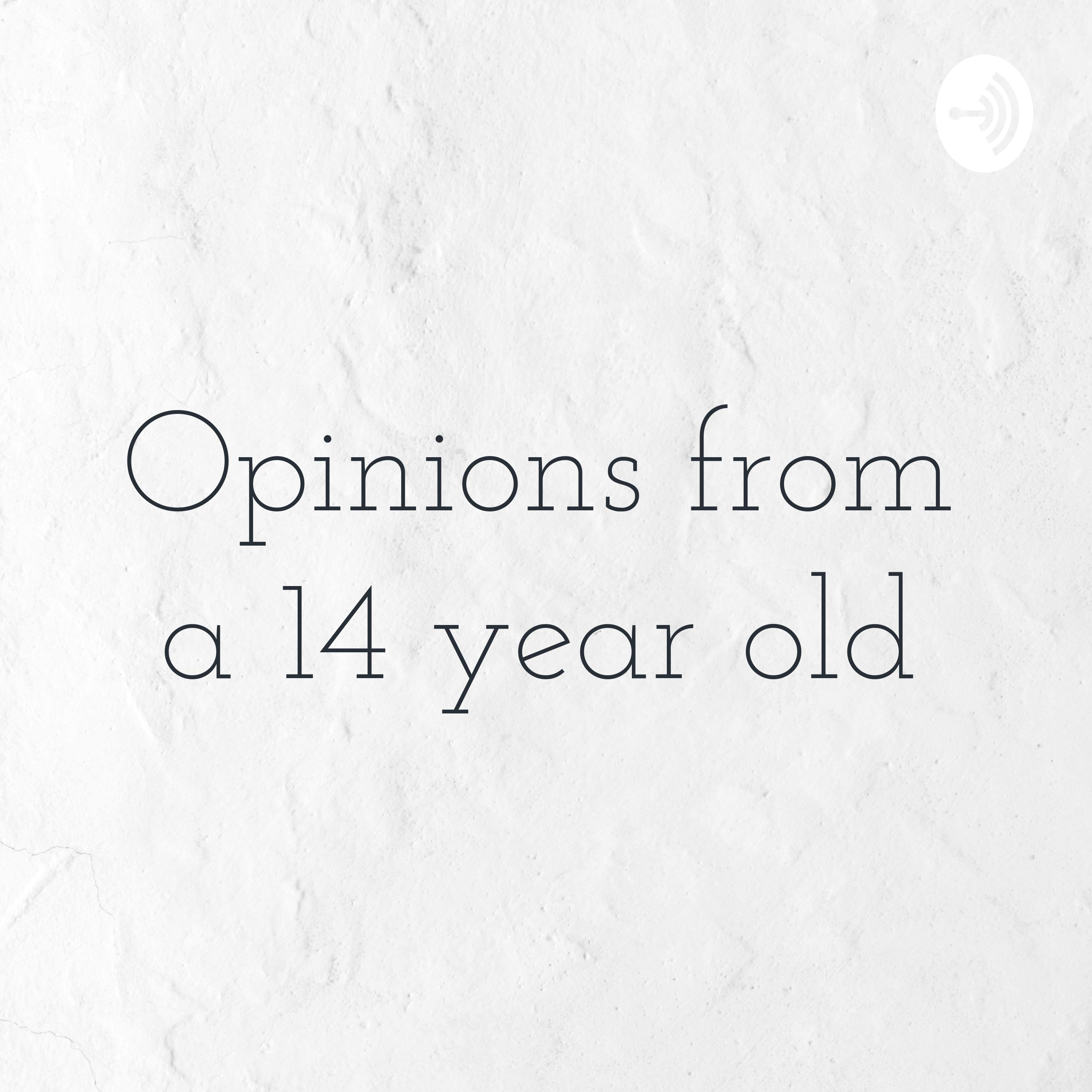 Opinions from a 14 year old