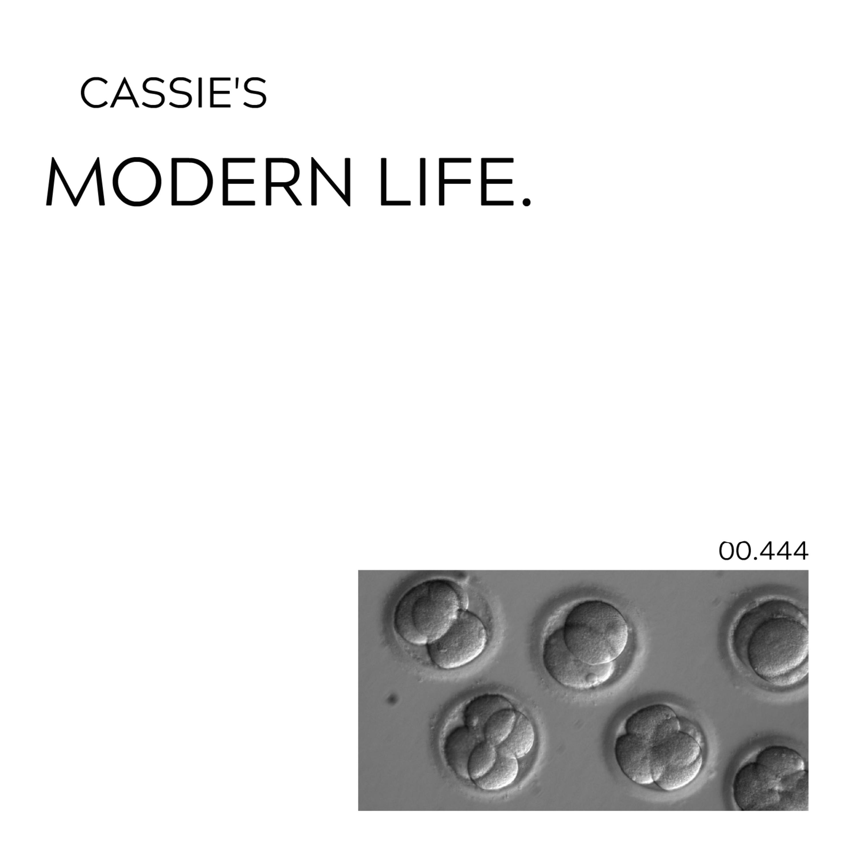 My First Psilocybin Trip