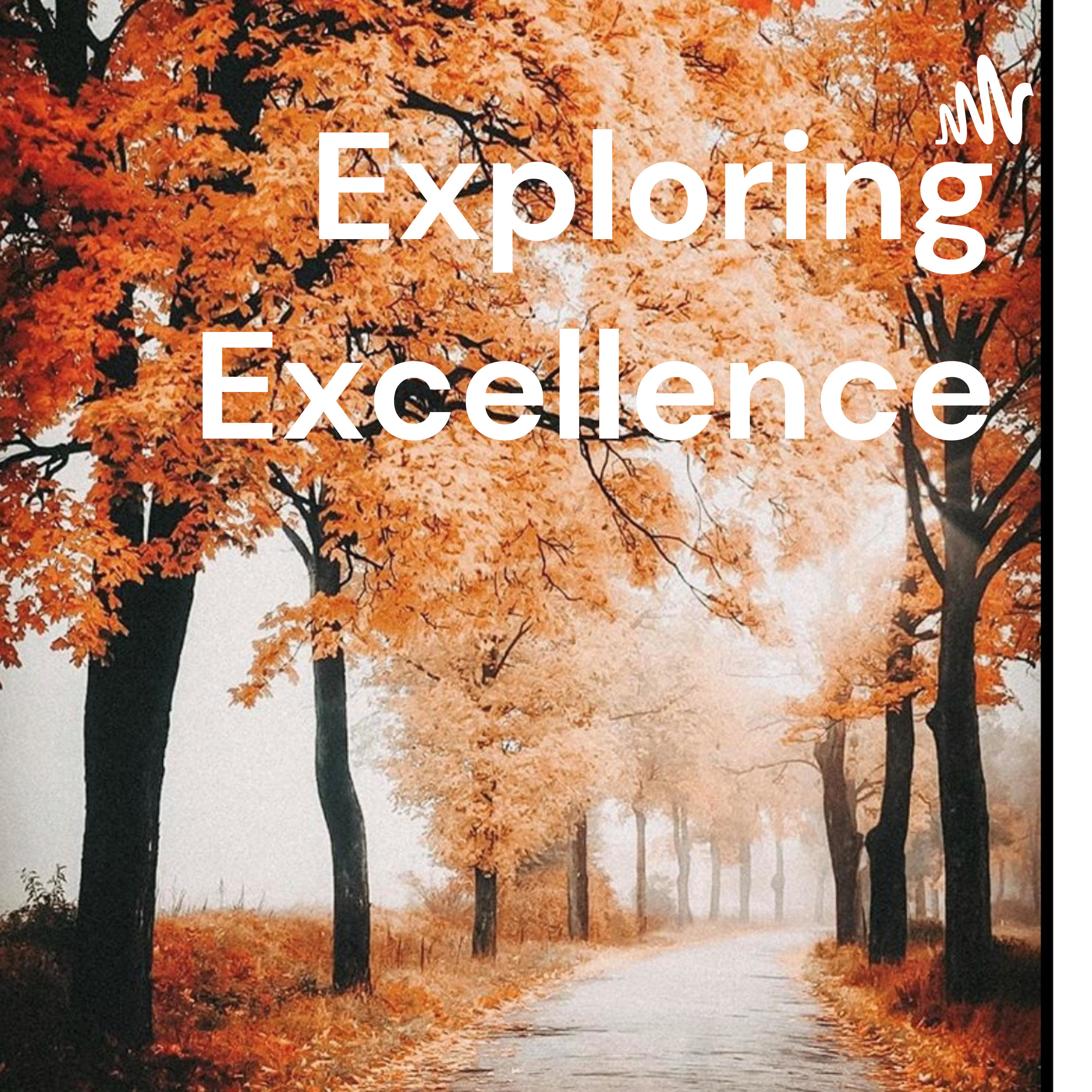 Exploring Excellence