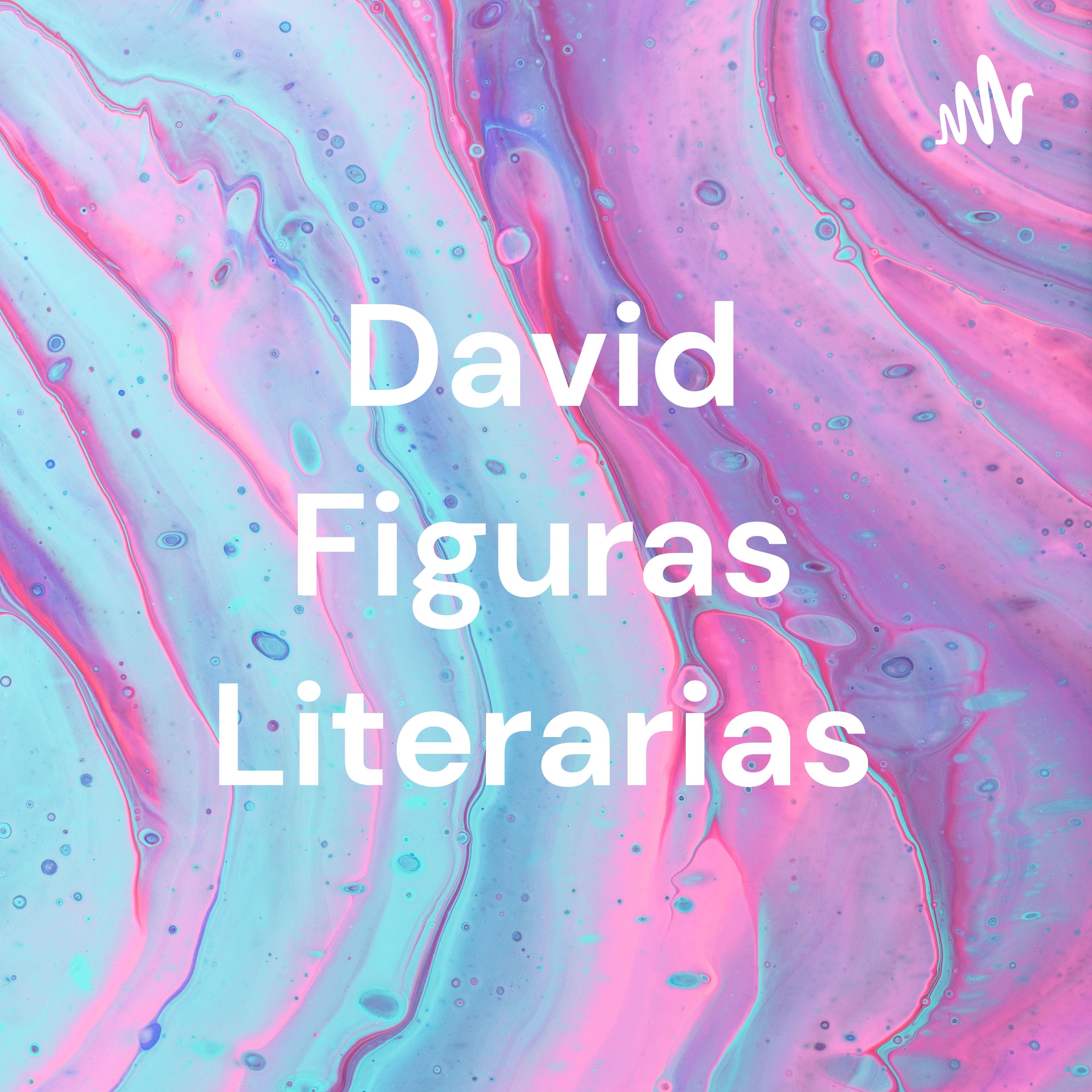 David Figuras Literarias