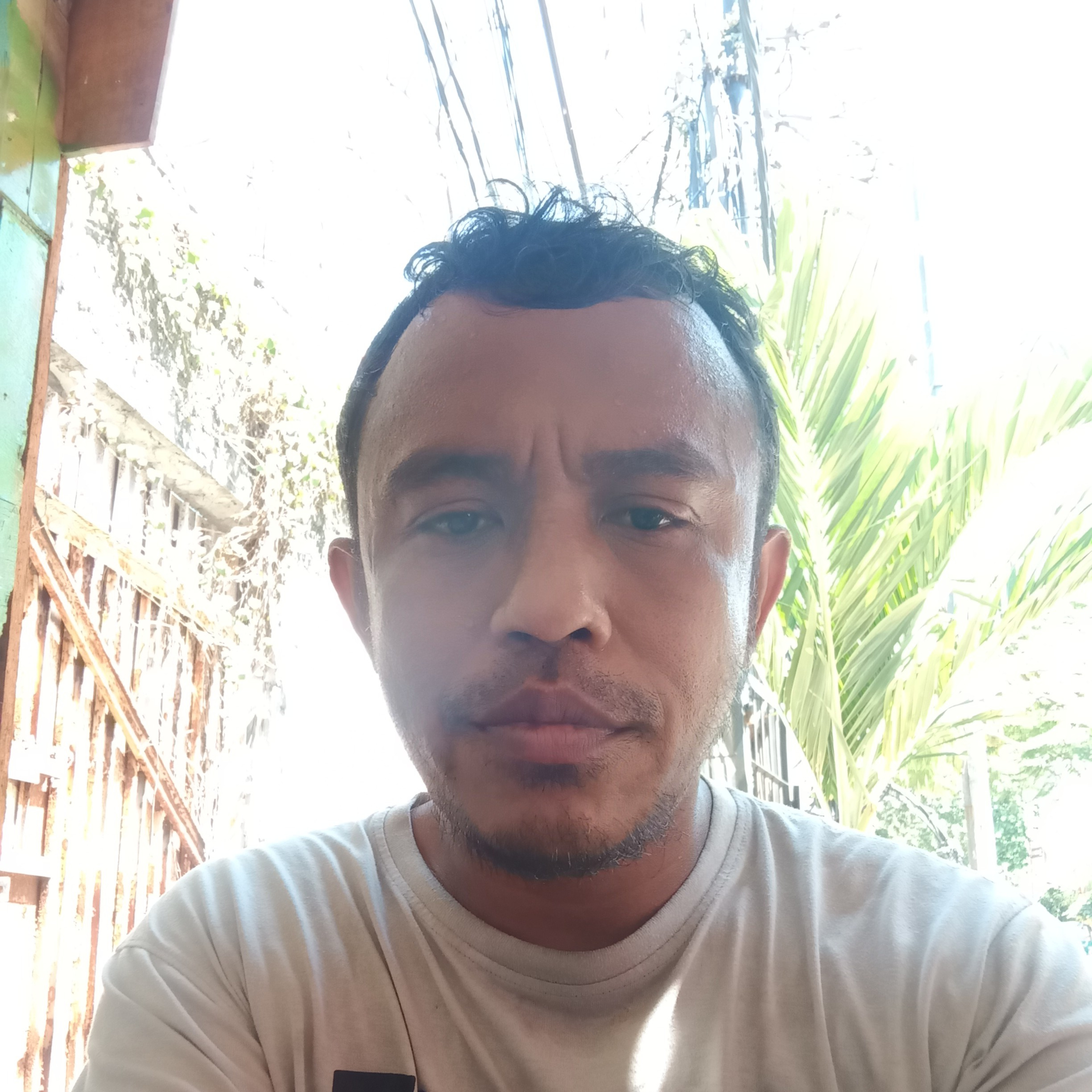 HENDRY PATTIWAEL