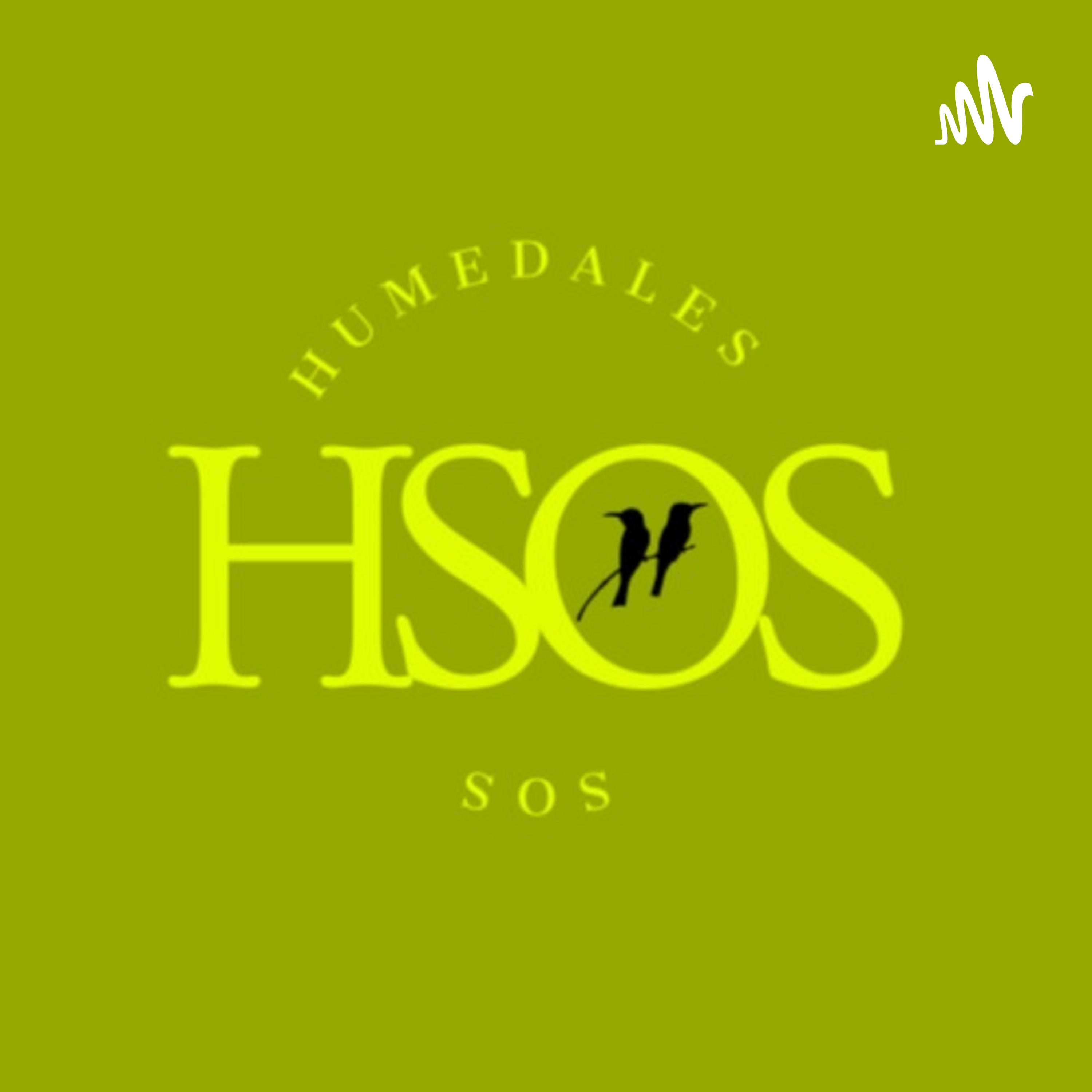 Humedales SOS