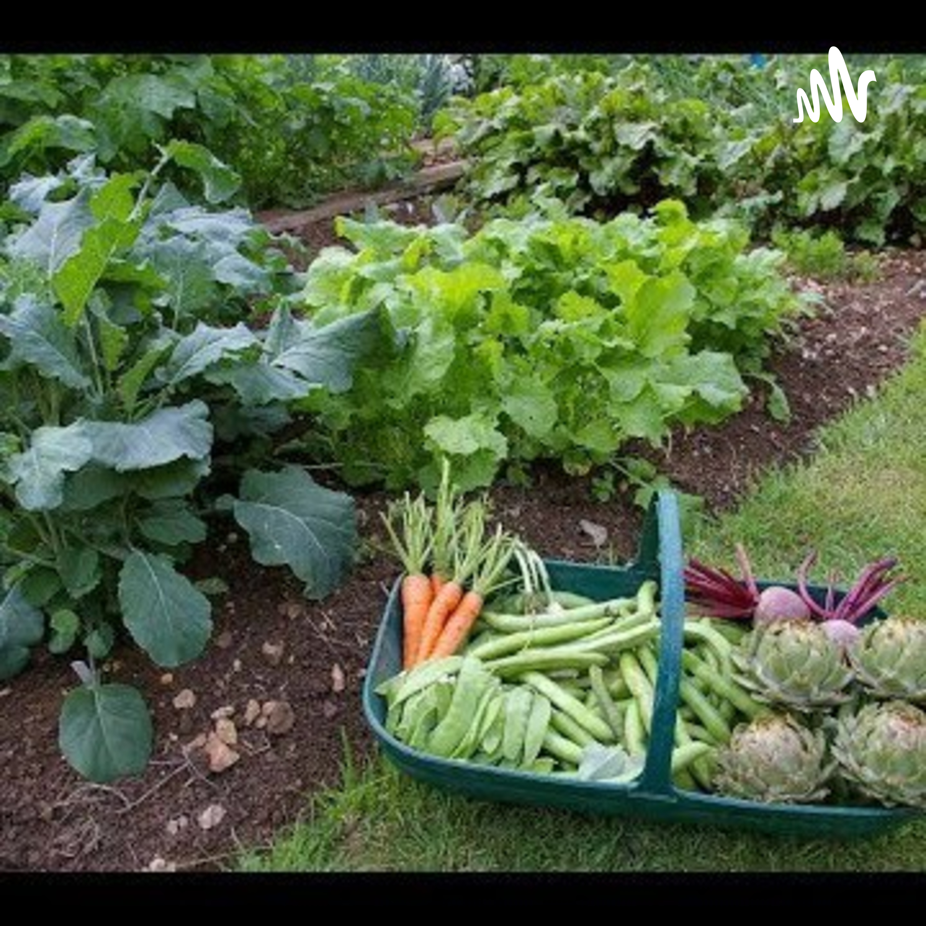 Reconozco Mis Hábitos Alimentarios 