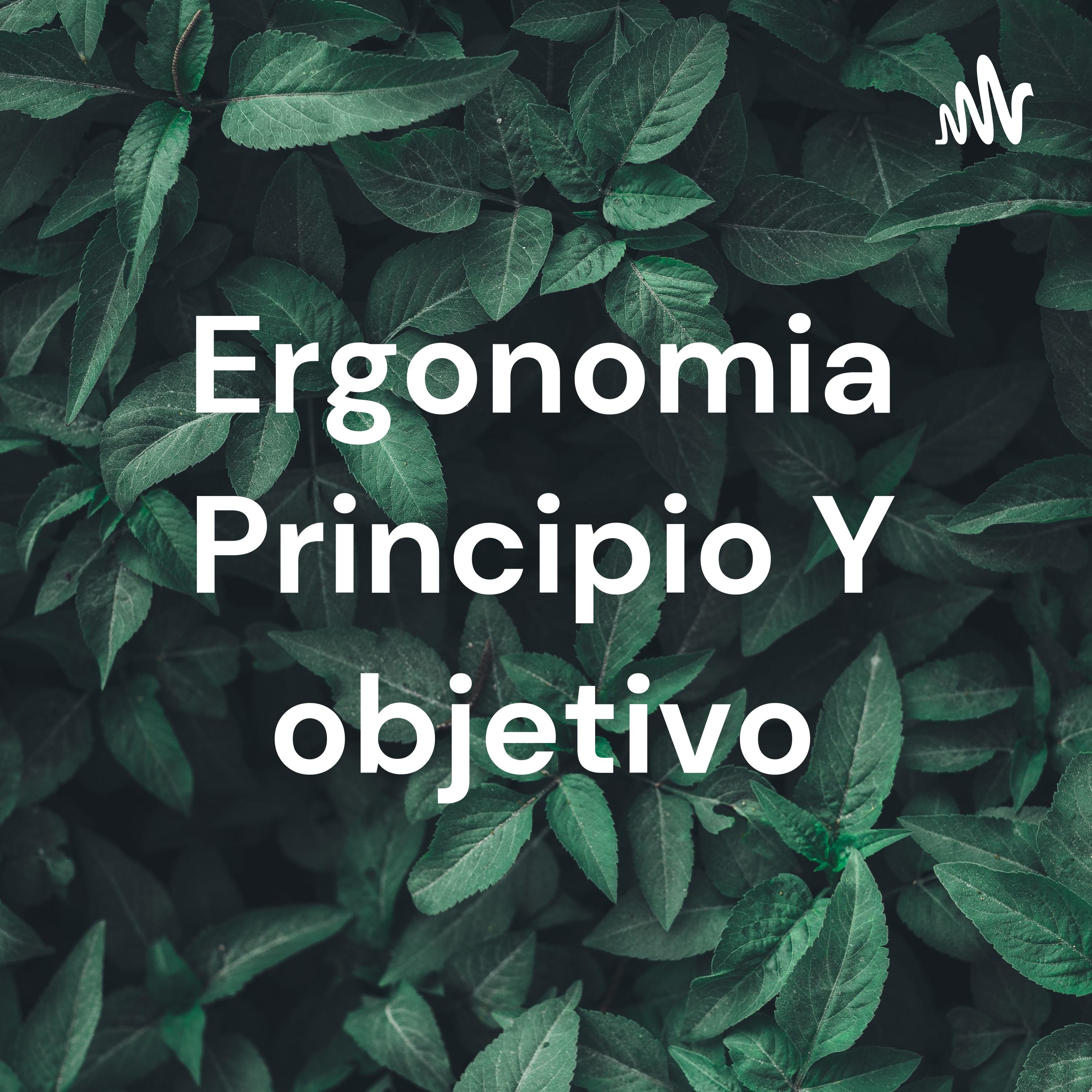 Ergonomia Principio Y objetivo