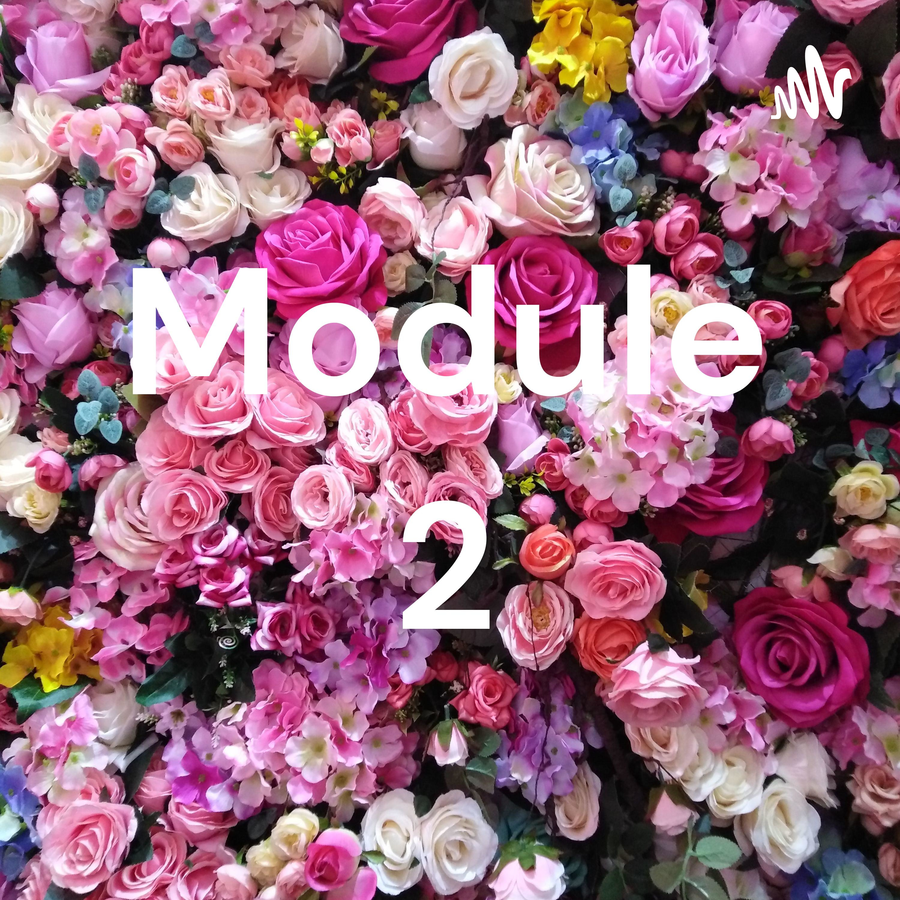 Module 2 podcast artwork