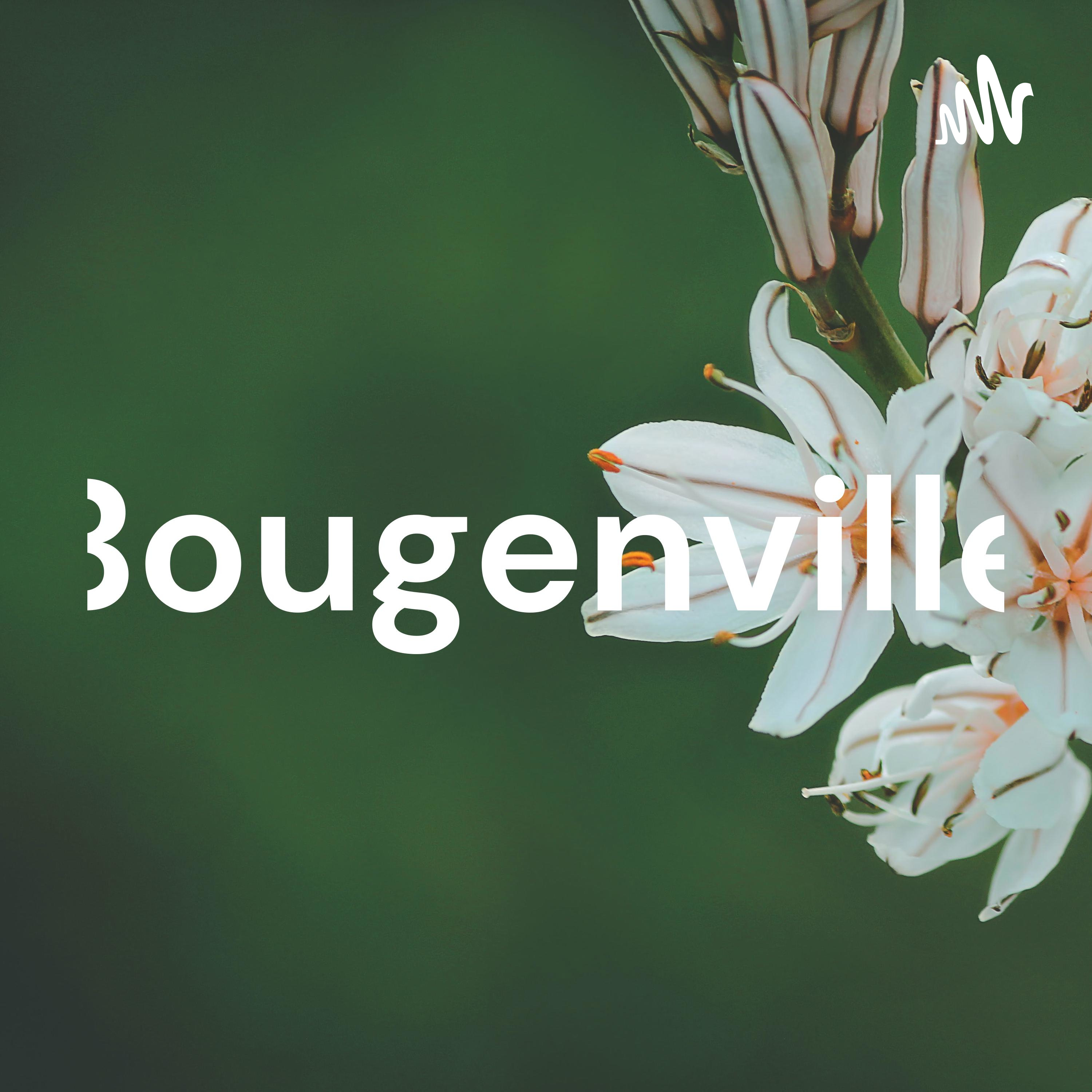 Bougenville podcast artwork