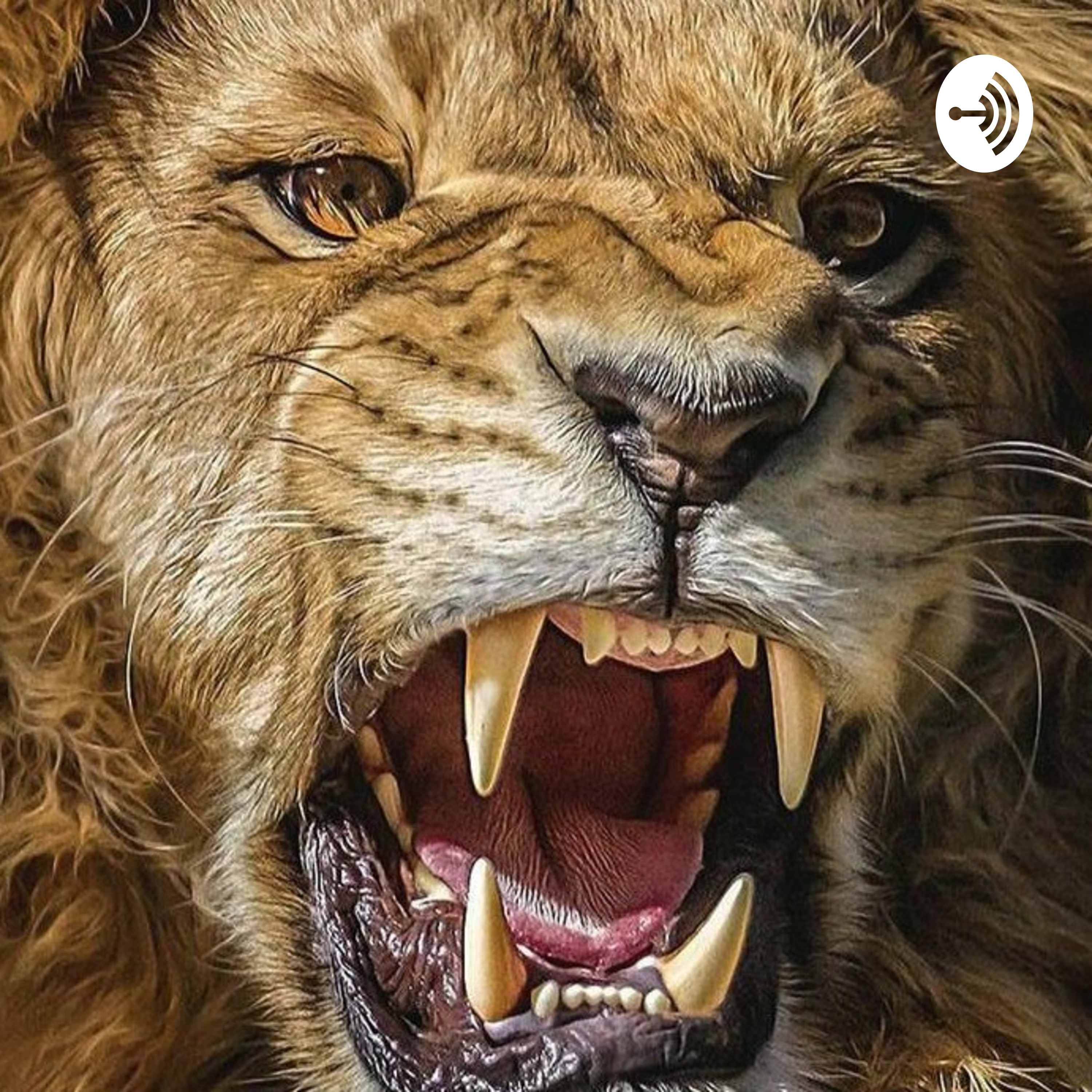 The Lion\'s Den Podcast KC