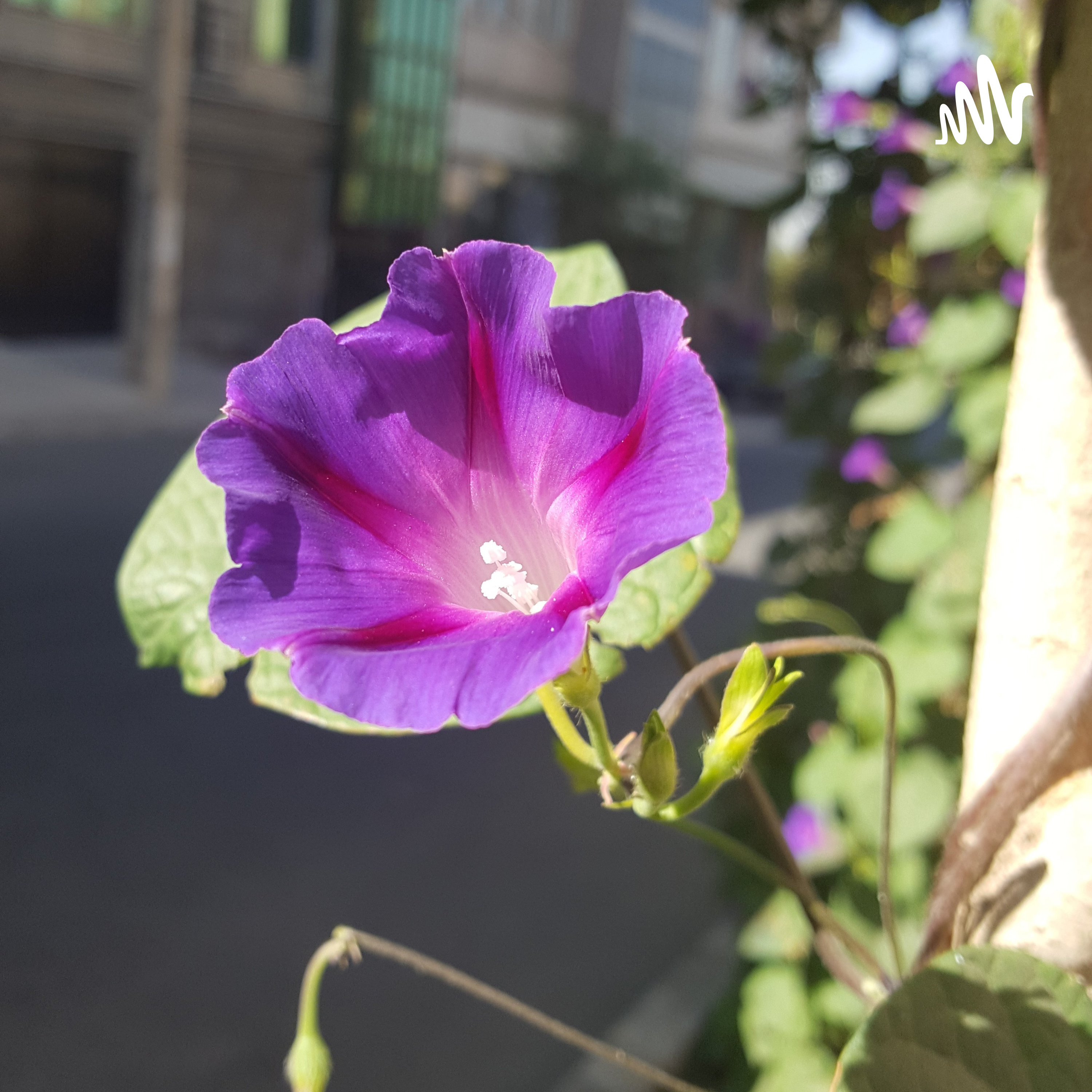 کاور کاغذ یادداشت