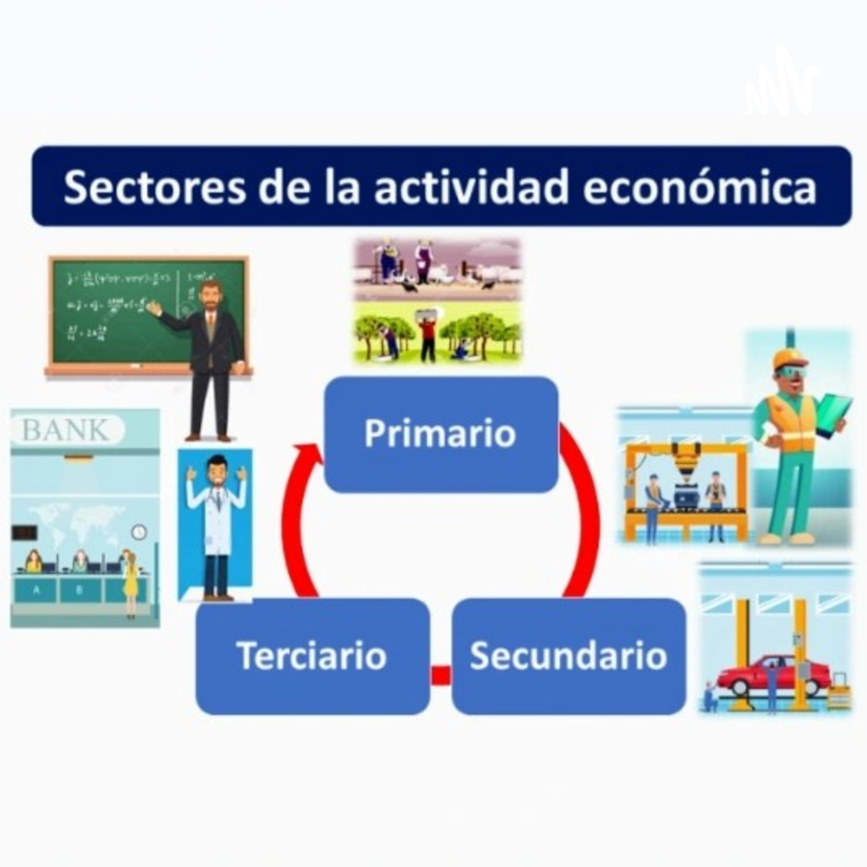 SECTORES DE LA ECONOMÍA