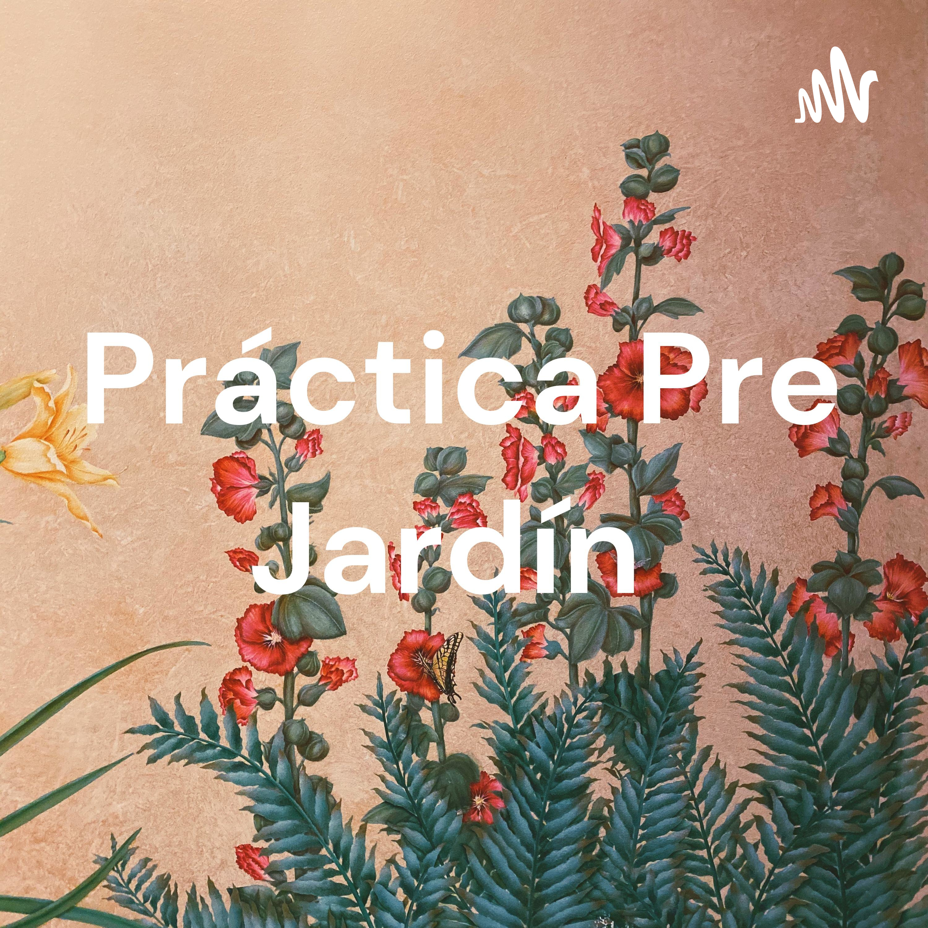Práctica Pre Jardín podcast artwork