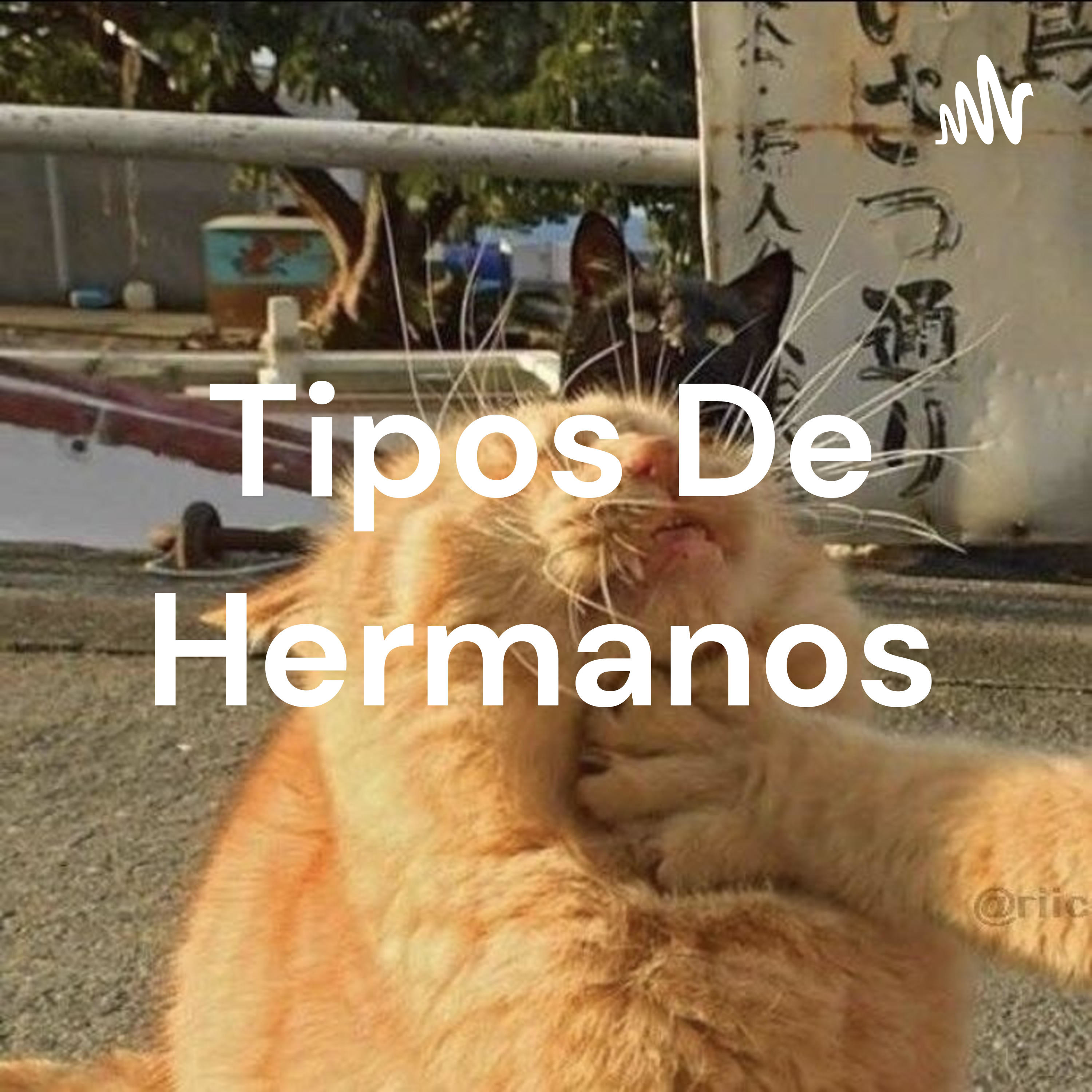 Tipos De Hermanos