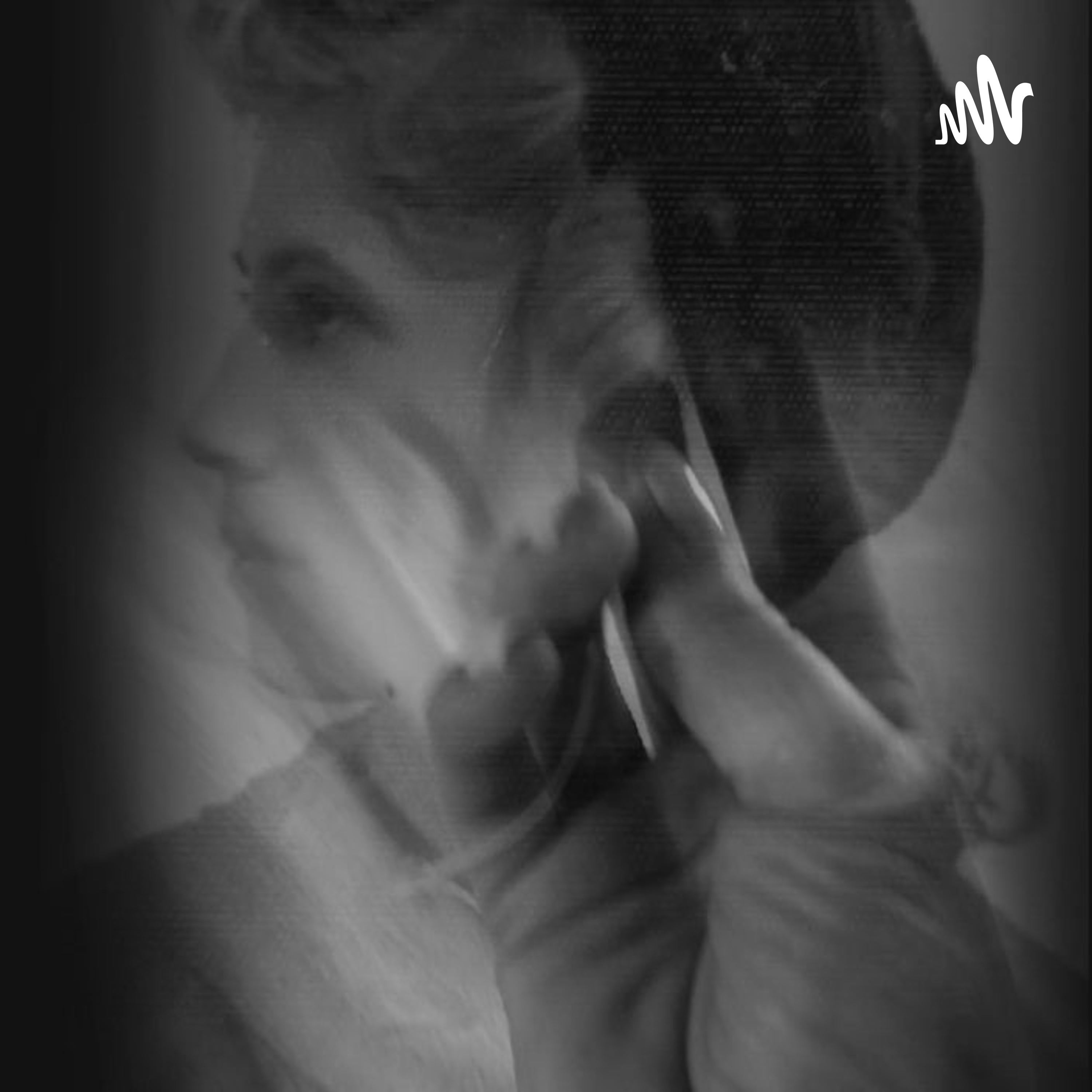 Les mots verticaux podcast artwork