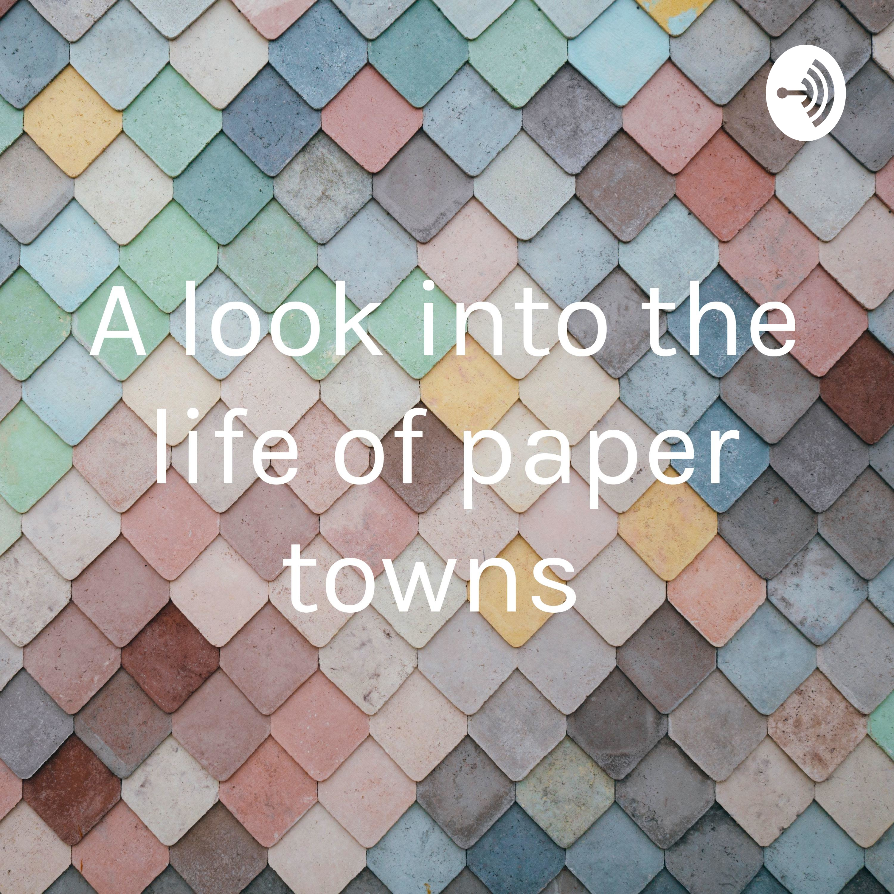 A look into the life of paper towns 