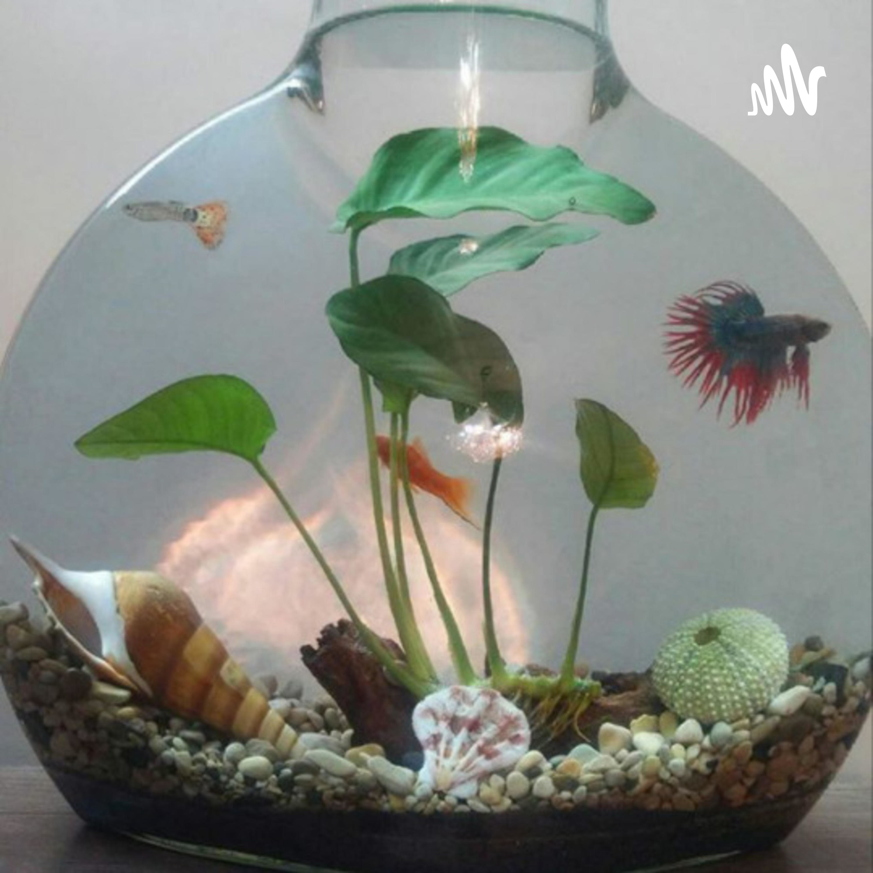 کتاب صوتی با ندا