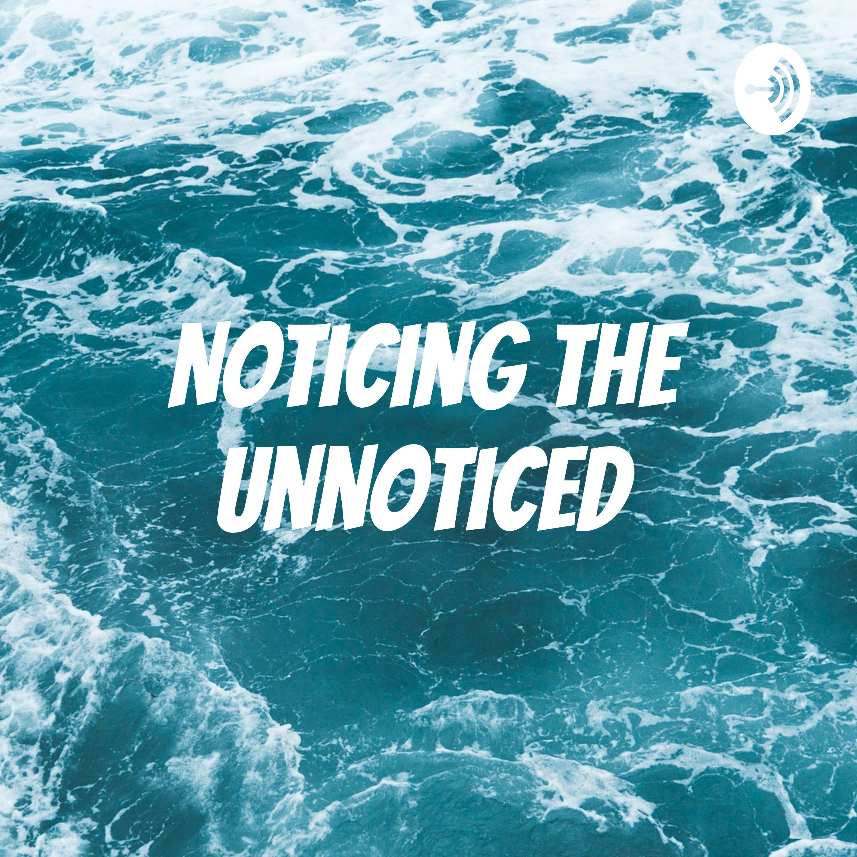 Noticing the Unnoticed 