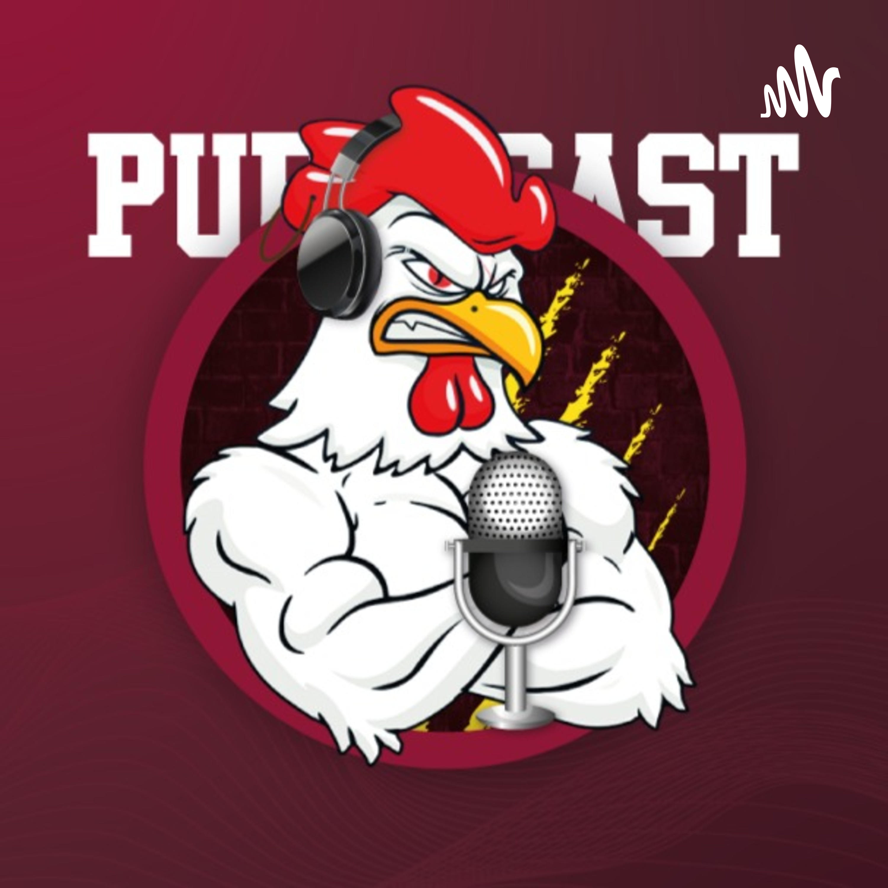 Publicast podcast artwork