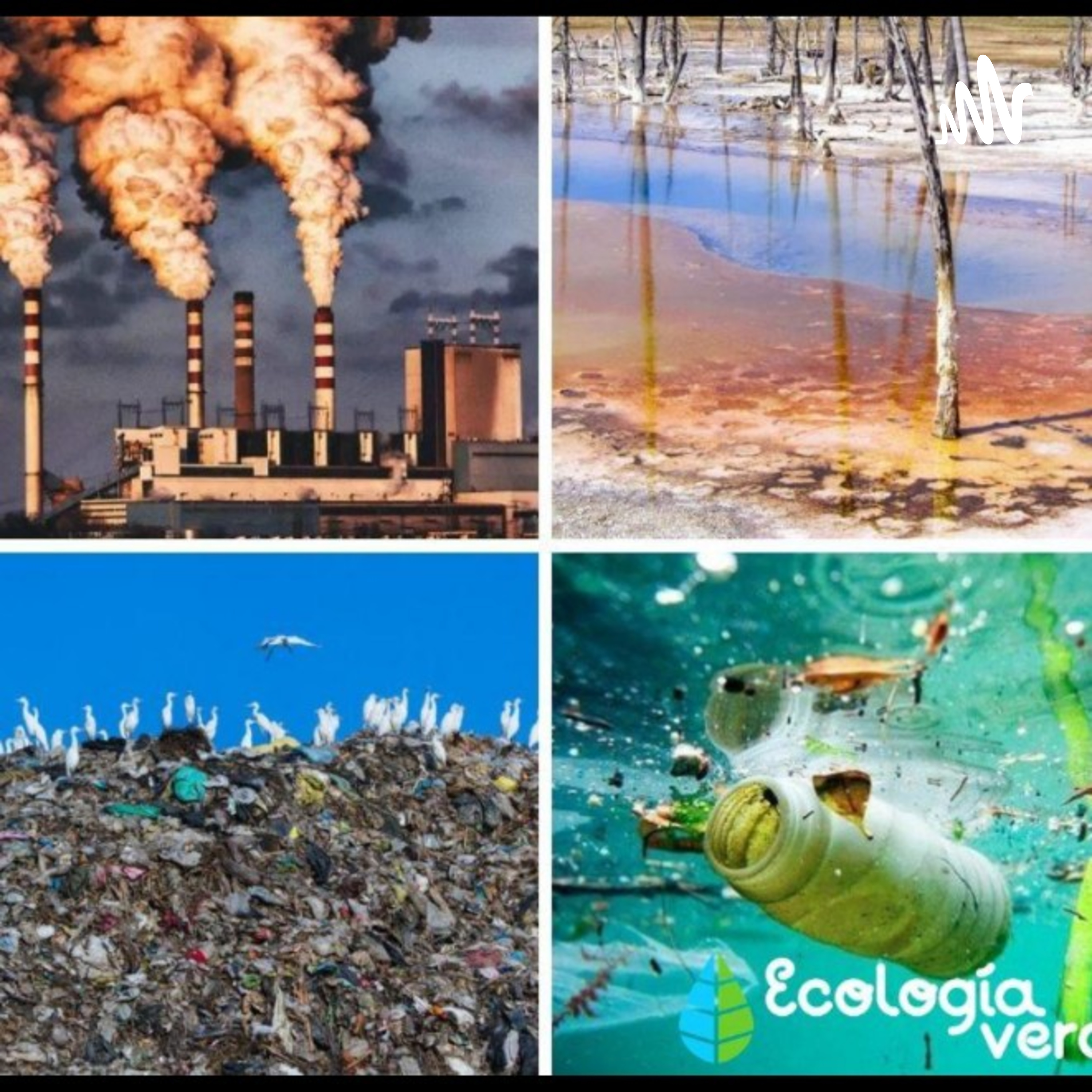 tipos de contaminación