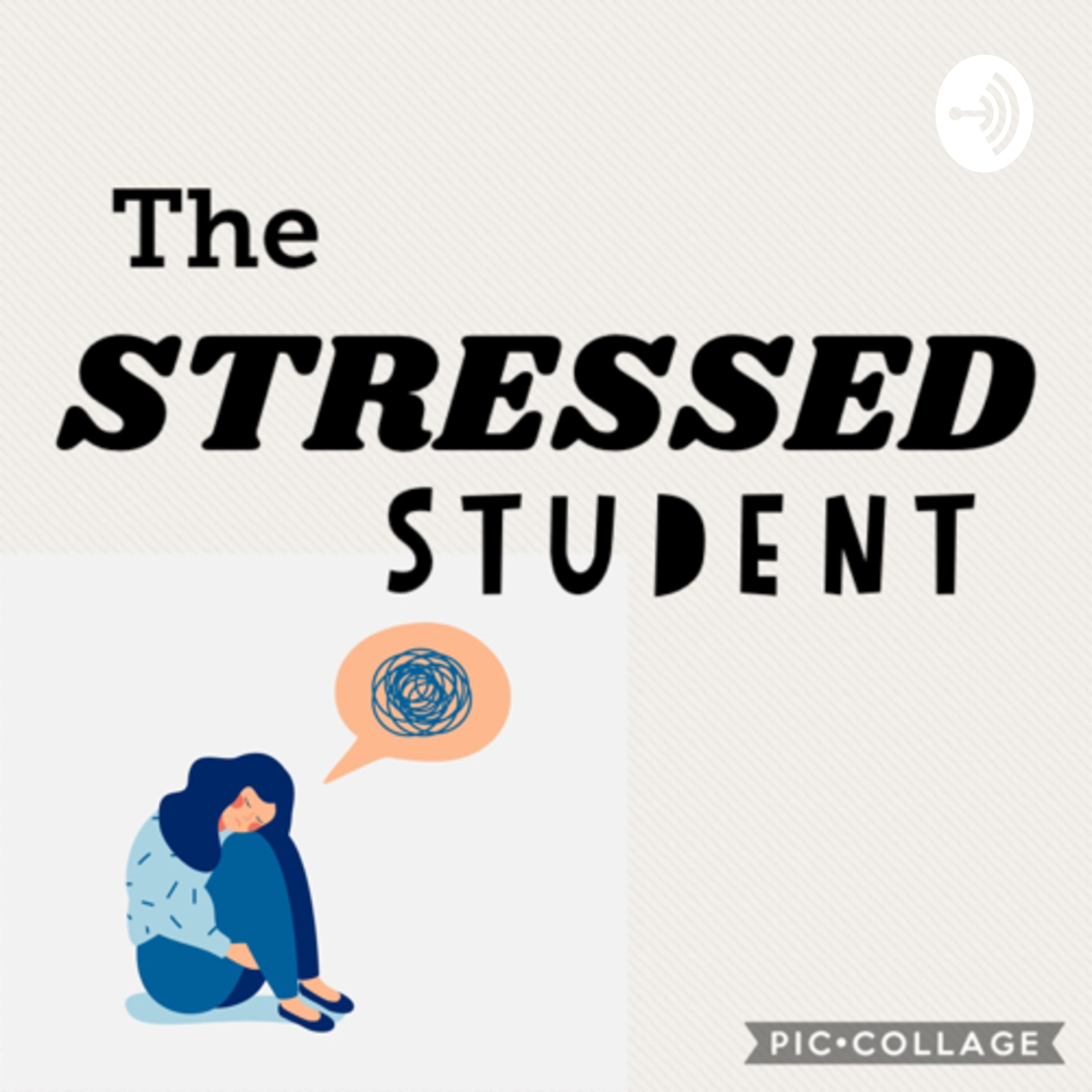 The Stressed Student 