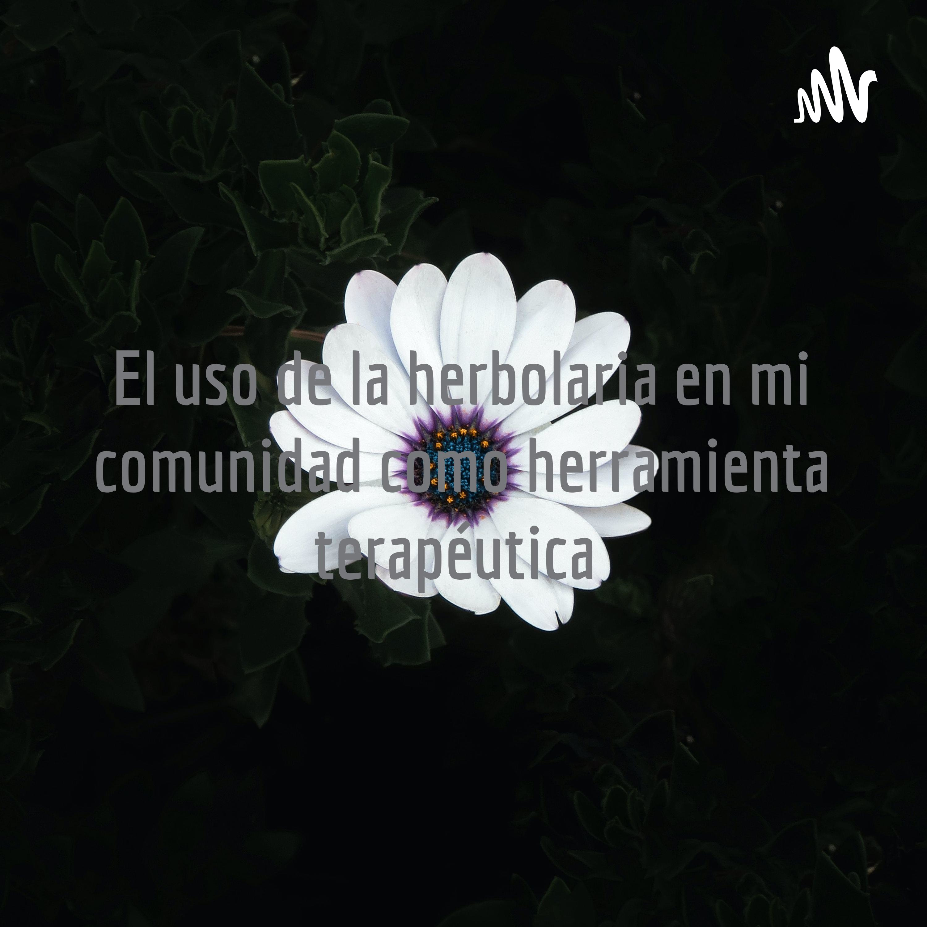El uso de la herbolaria en mi comunidad como herramienta terapéutica 